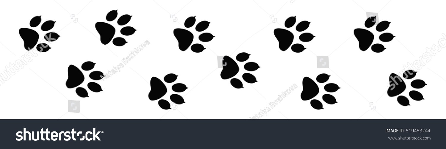 Paw Prints Animal Tracks On White Stock Illustration 519453244 ...