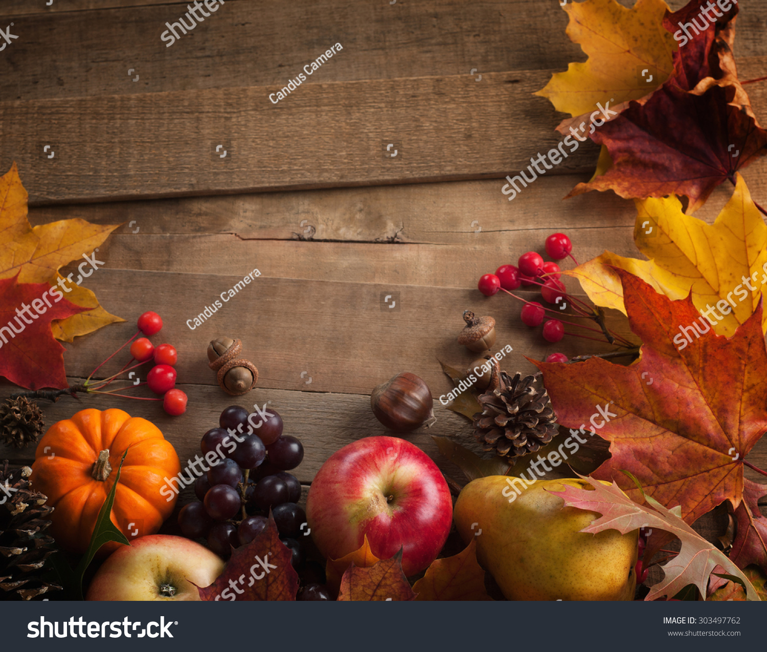 Peaceful Fall Fruit Leaf Acorn Still Stock Photo (Edit Now) 303497762