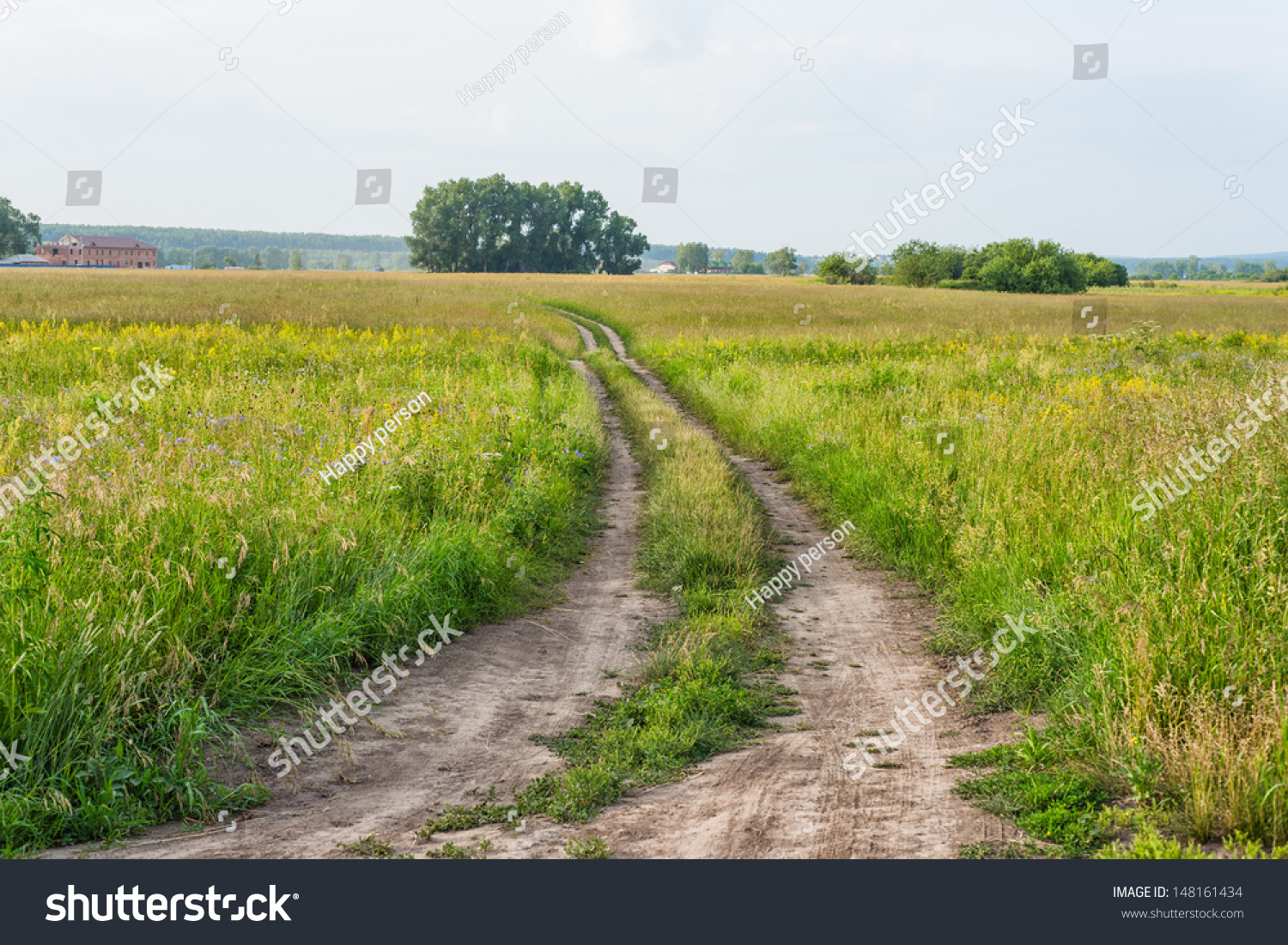 Peaceful Summer Rural Landscape In Wide Field With Country Road Stock ...