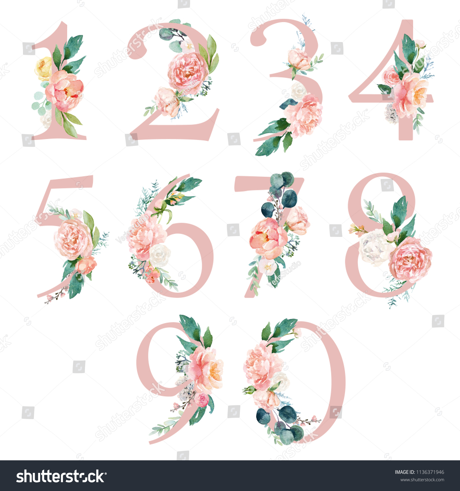 Peach Cream Blush Floral Number Set Stock Illustration