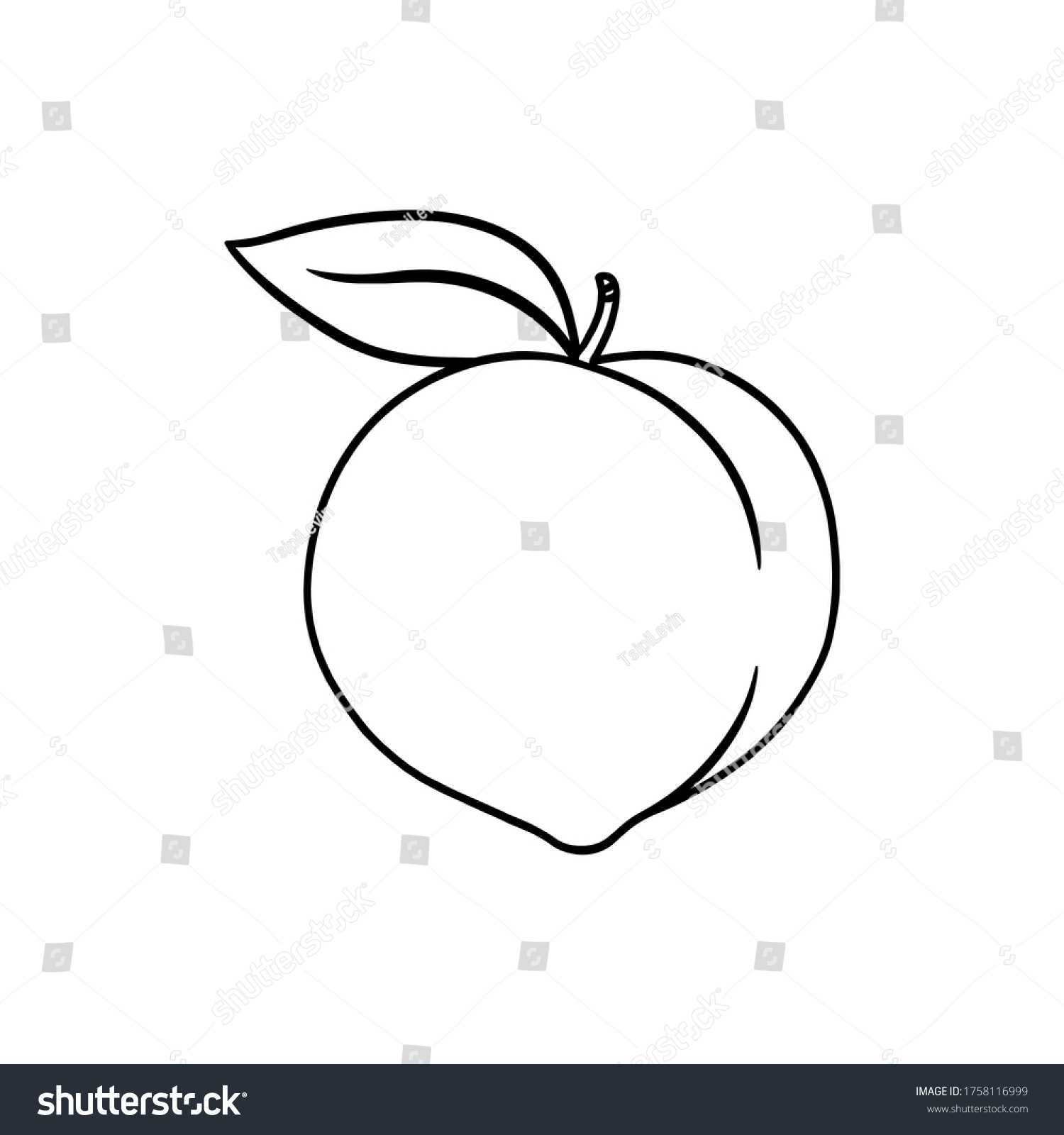 白い背景に桃の輪郭イラスト 白黒のフルーツ のイラスト素材