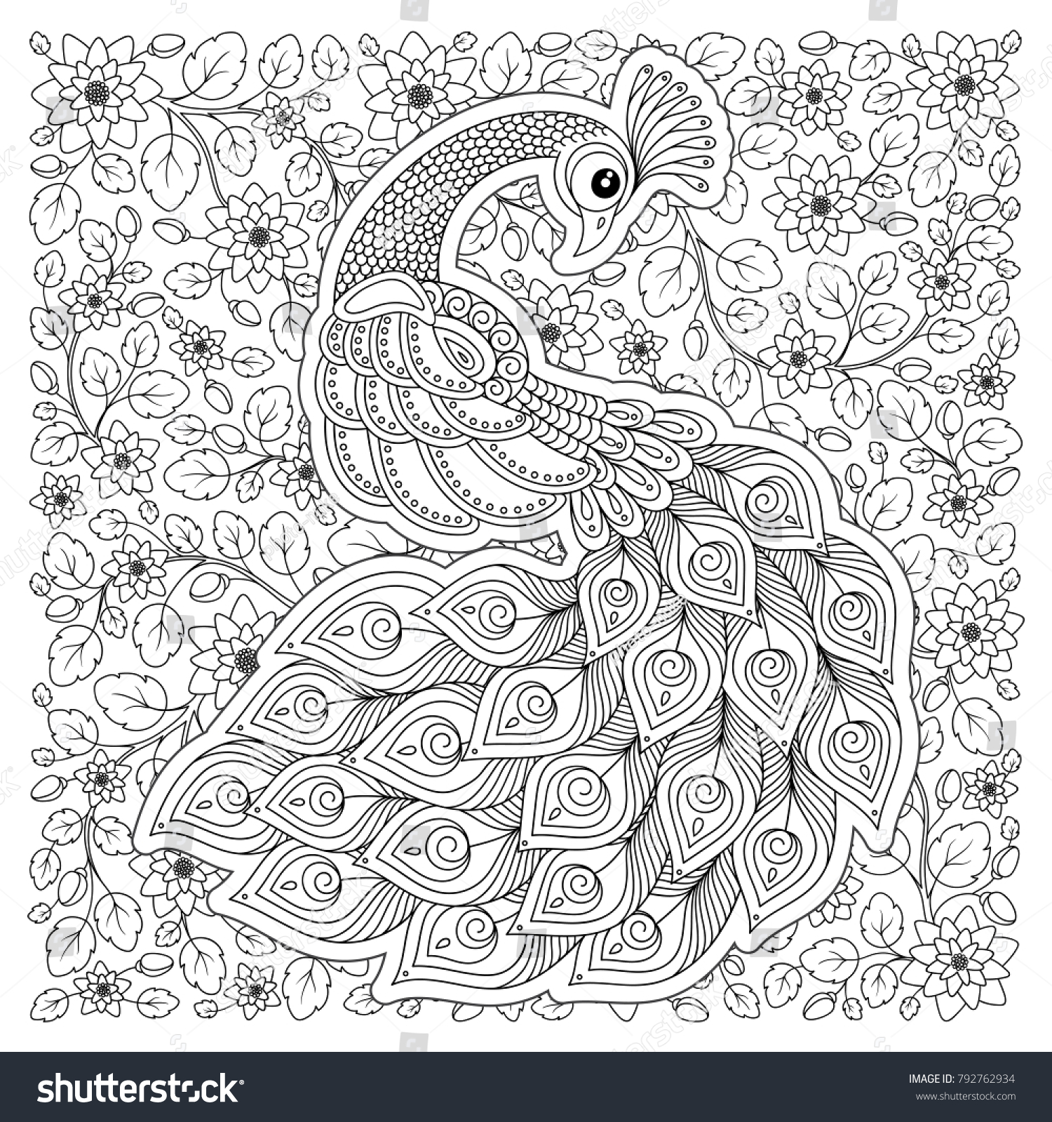 Peacock Adult Antistress Coloring Page Black Stock Illustration ...