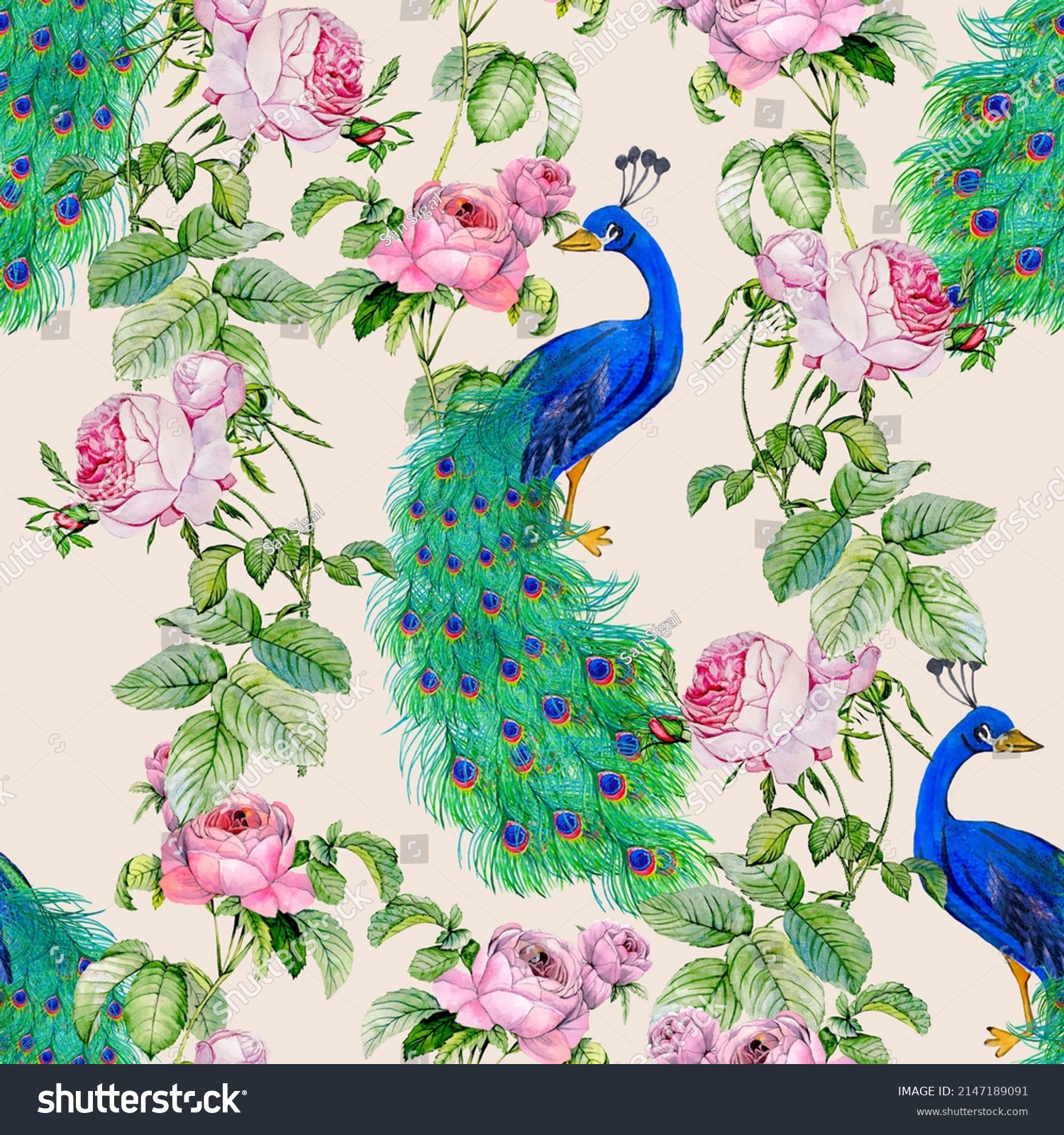 Peacock Rose Garden Watercolor Illustration Pattern Stock Illustration ...