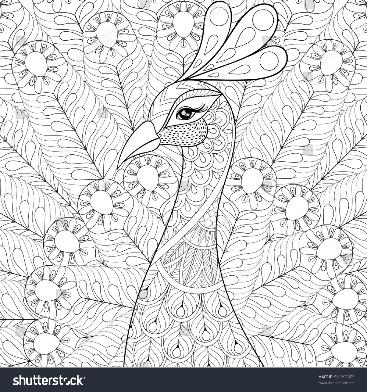 Peacock Feathers Zentangle Style Freehand Sketch Stock Illustration 