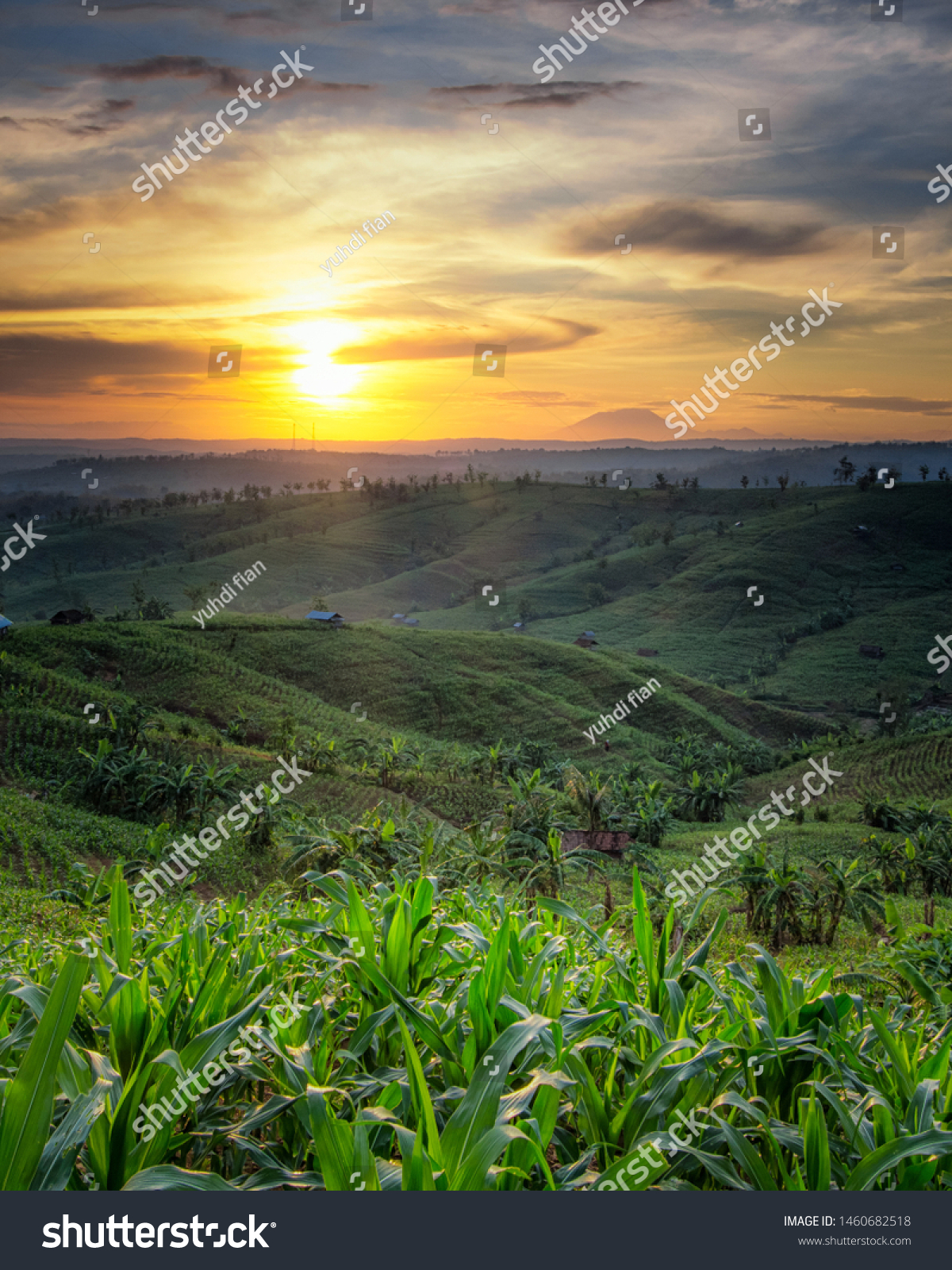 Pemandangan Alam Indonesia Di Waktu Pagi Stock Photo Edit Now