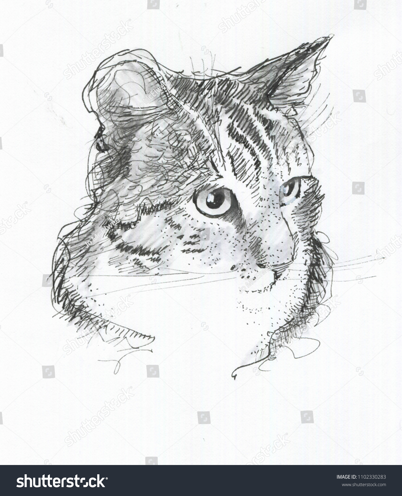 Creative Cat Looking Up Right Sketch Drawing 