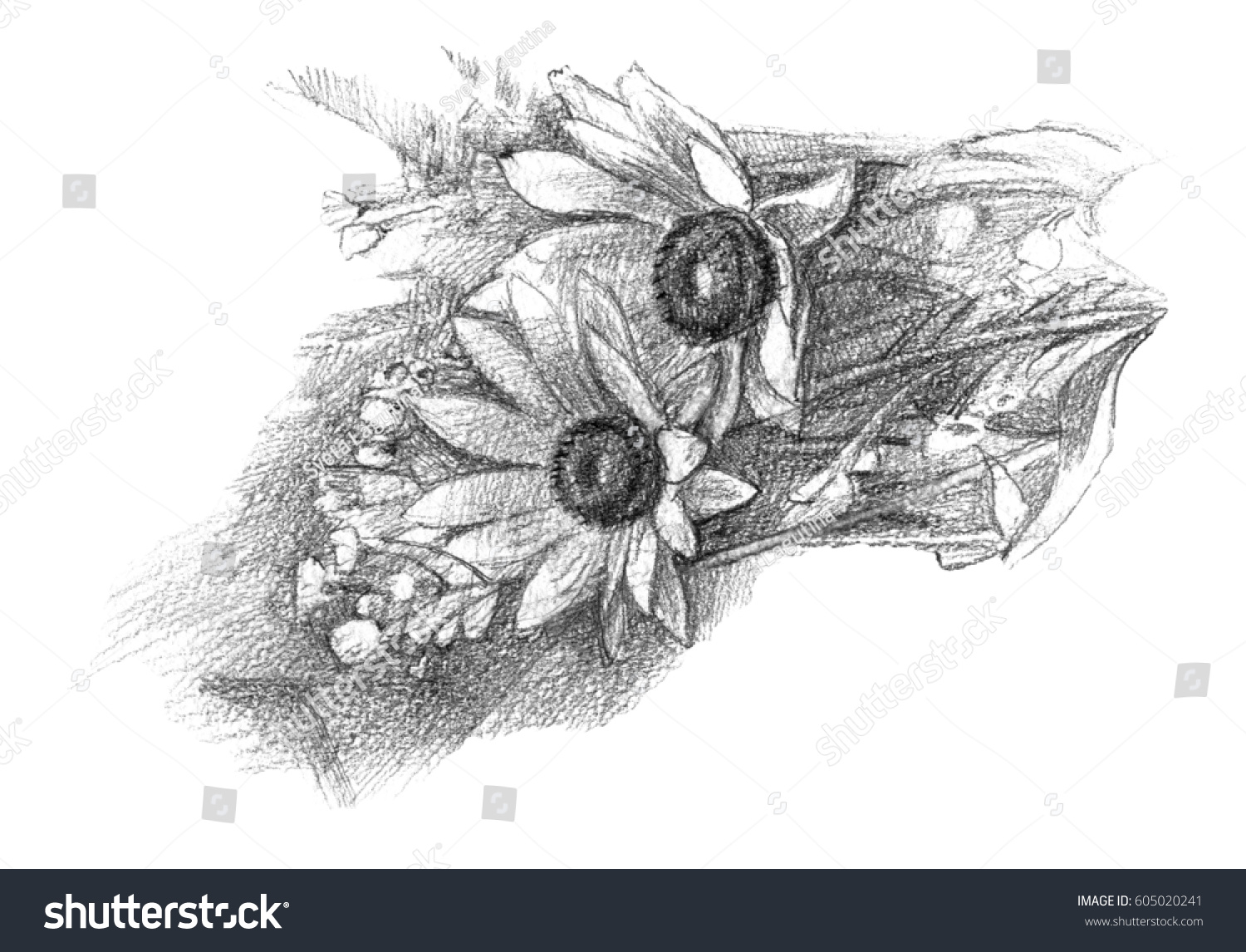 Pencil Drawing Flowers Bouquet The Arts Nature Stock Image