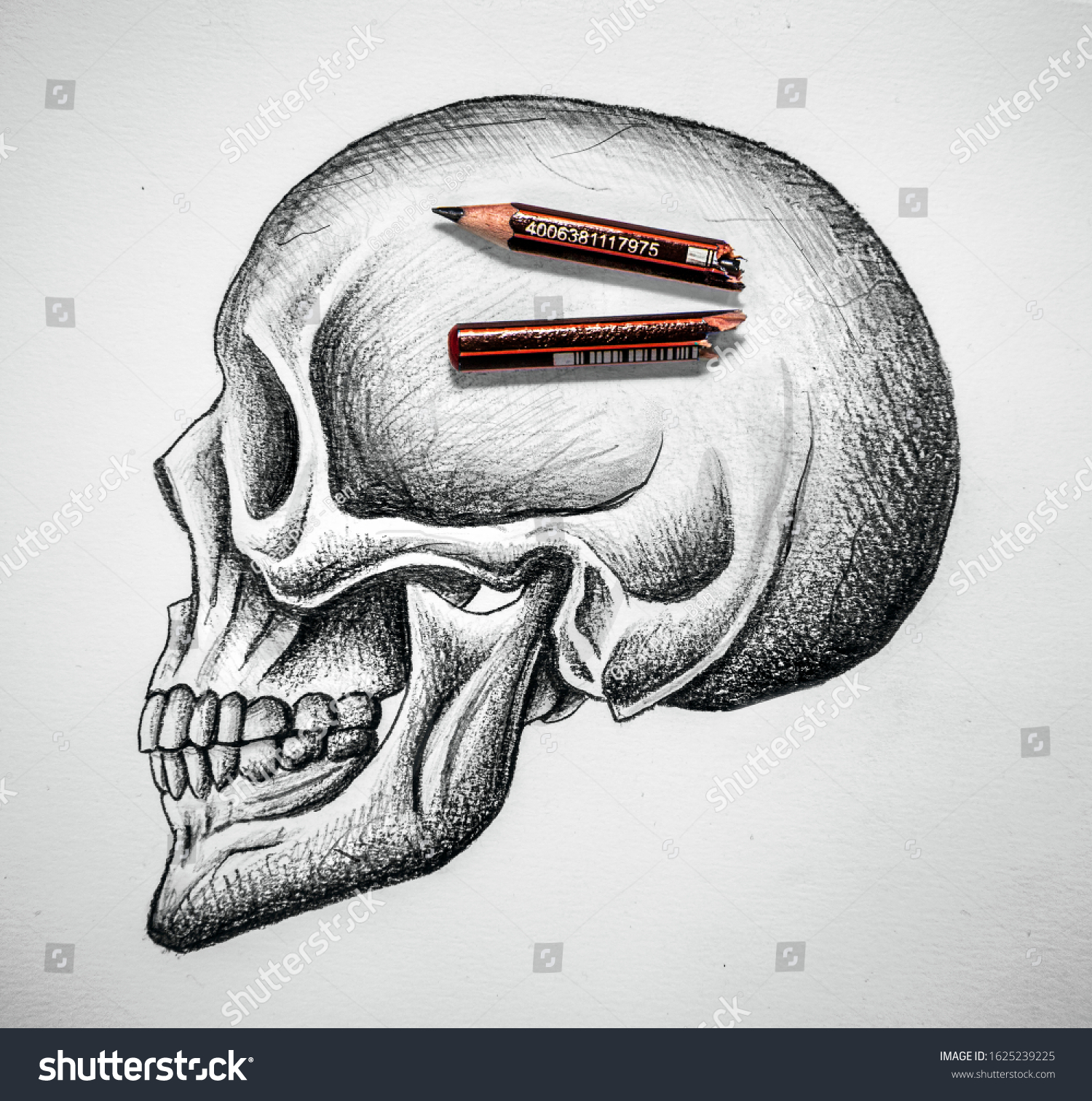 Pencil Drawing Skull Broken Pencil Head Stock Photo Edit Now