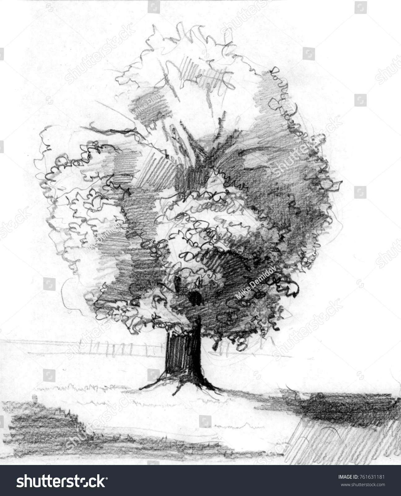 Pencil sketch of alone oak in the field