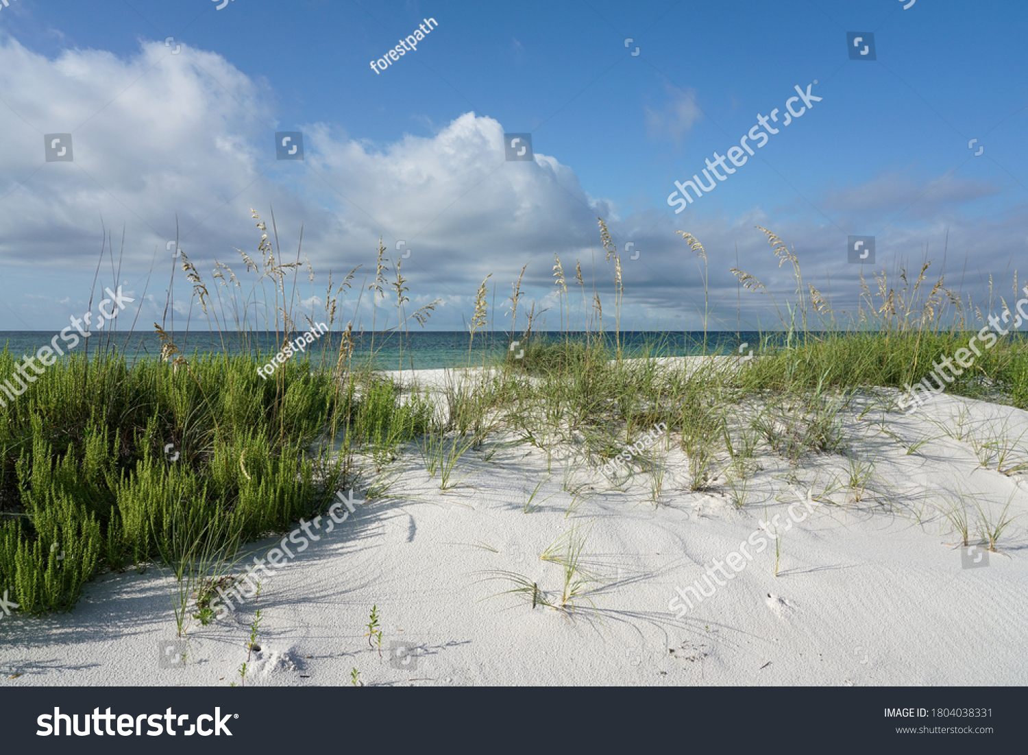 Gulf islands national seashore Images, Stock Photos & Vectors ...