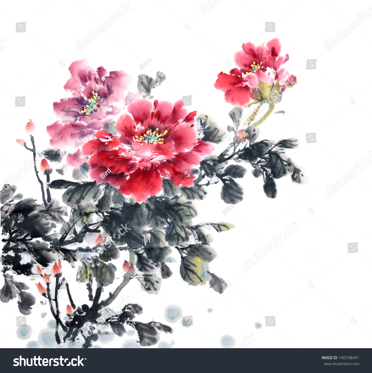 Peony Flower,Traditional Chinese Ink And Wash Painting. Stock Photo ...