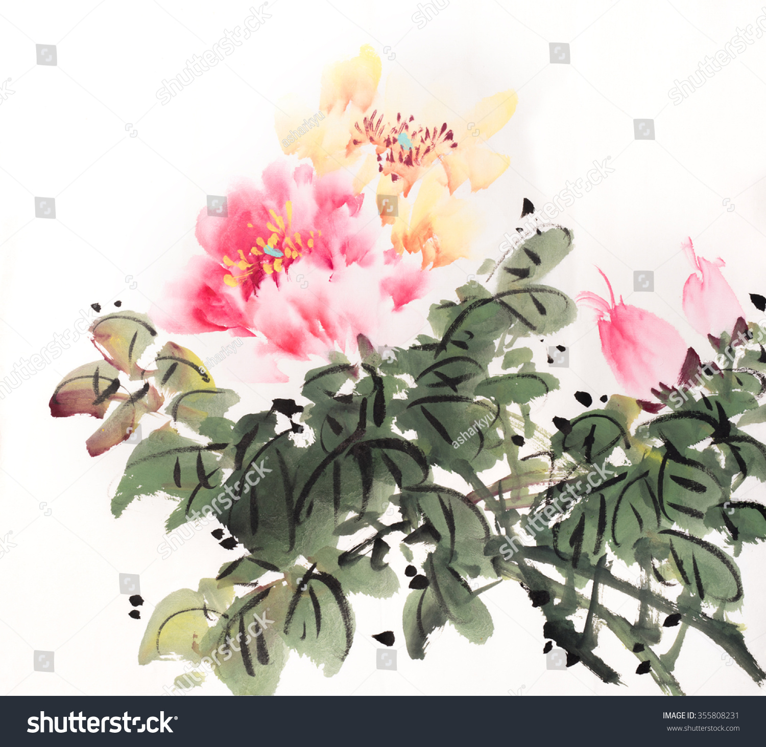 Peony Flower,Traditional Chinese Ink And Wash Painting. Stock Photo ...