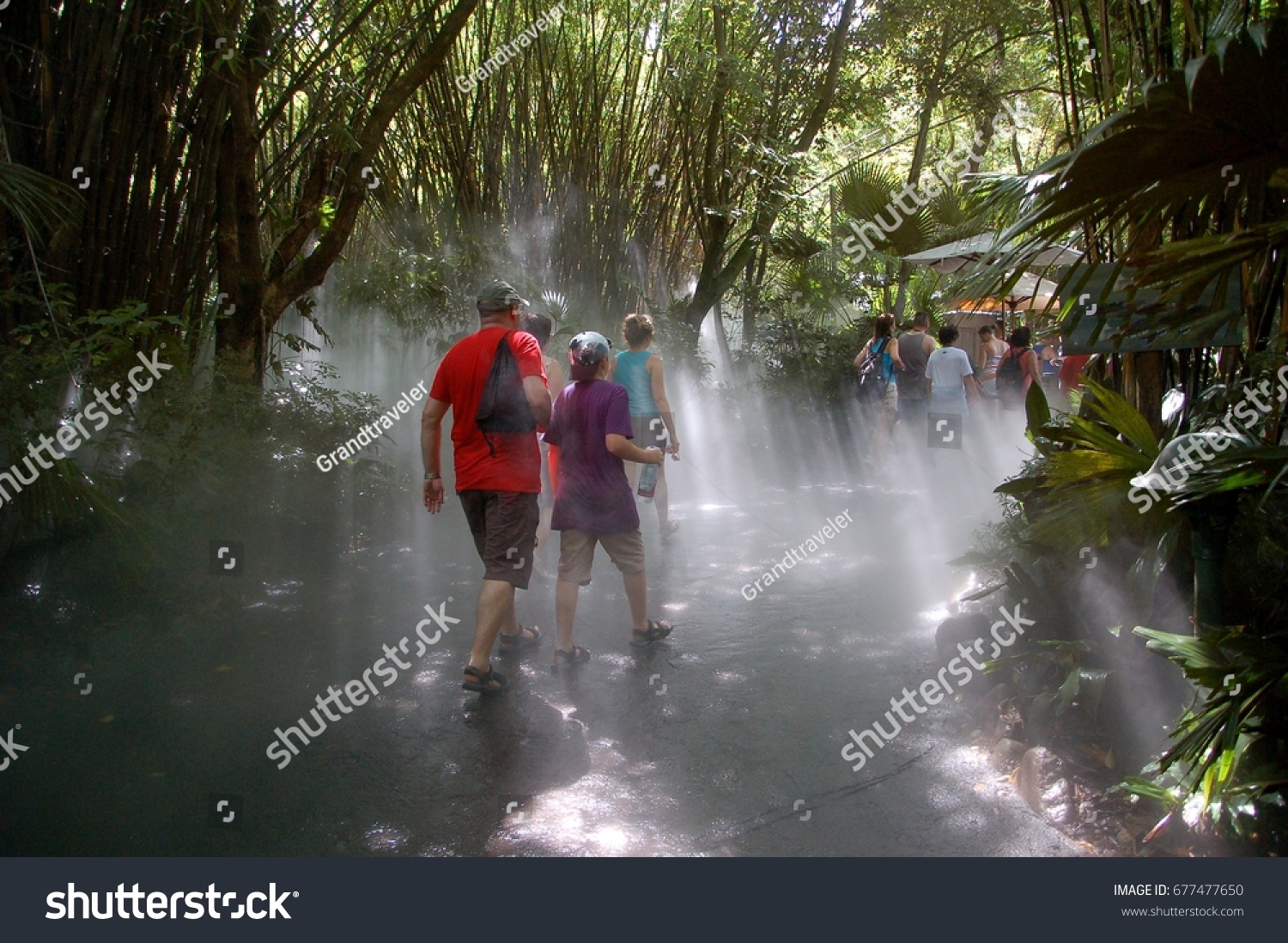 People Walking Through Junglelike Setting Sun Stock Photo Edit