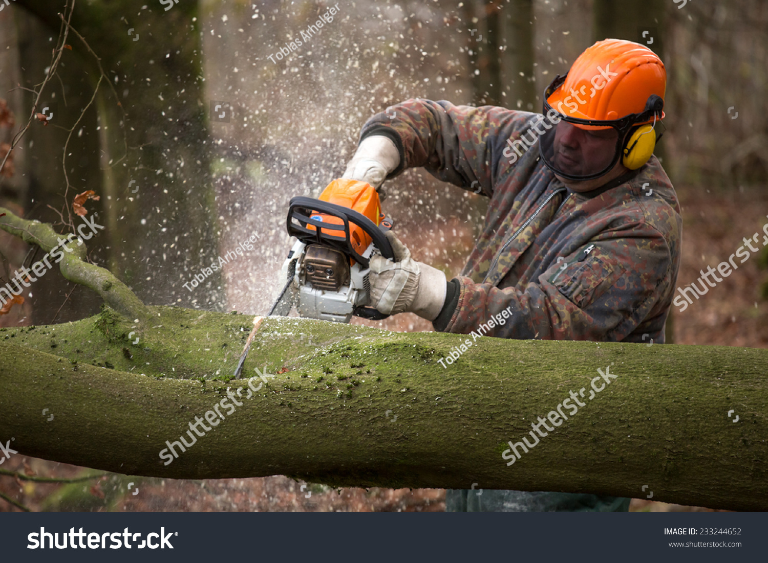 People Working Forest Stock Photo 233244652 Shutterstock People Working Forest Stock Photo 233244652 Shutterstock