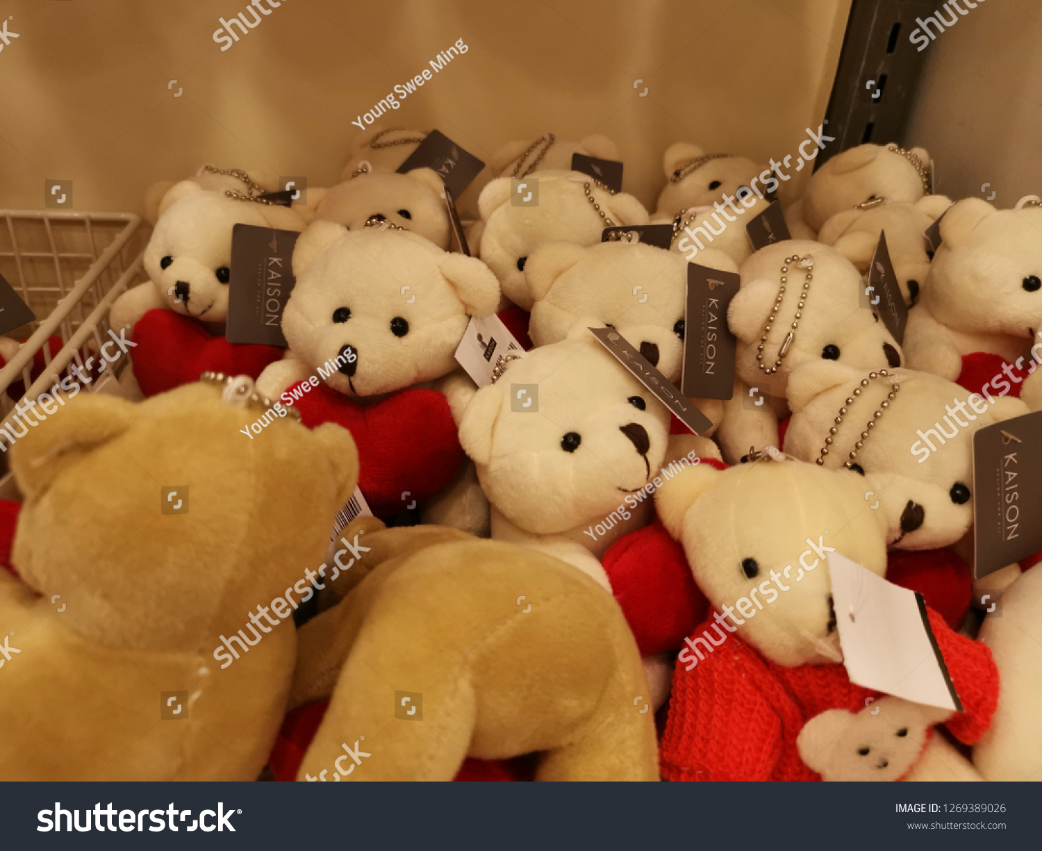 teddy bear kaison