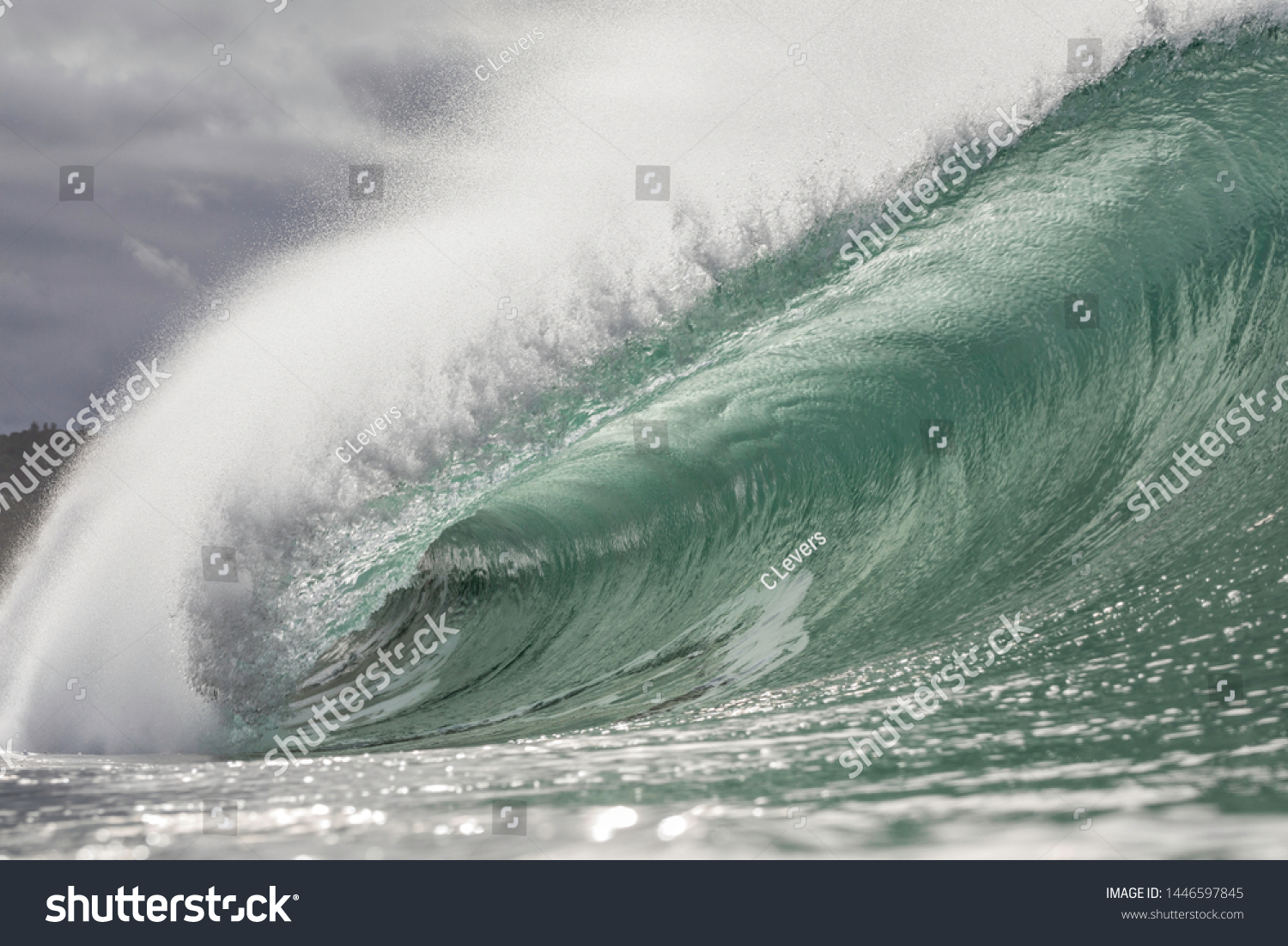 perfect surf wave