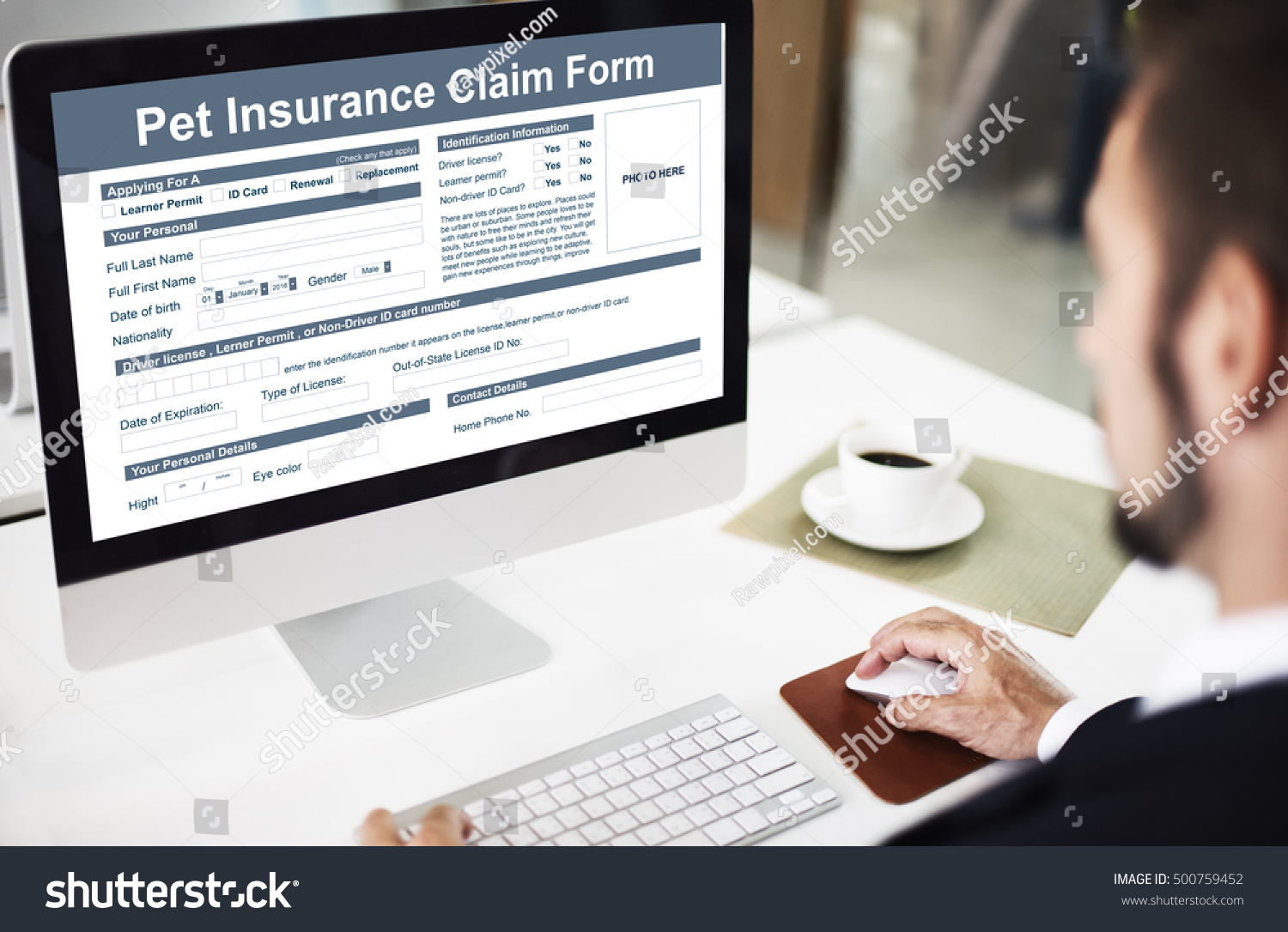 Pet Insurance Claim Form Protection Safety Stock Photo Edit Now 500759452