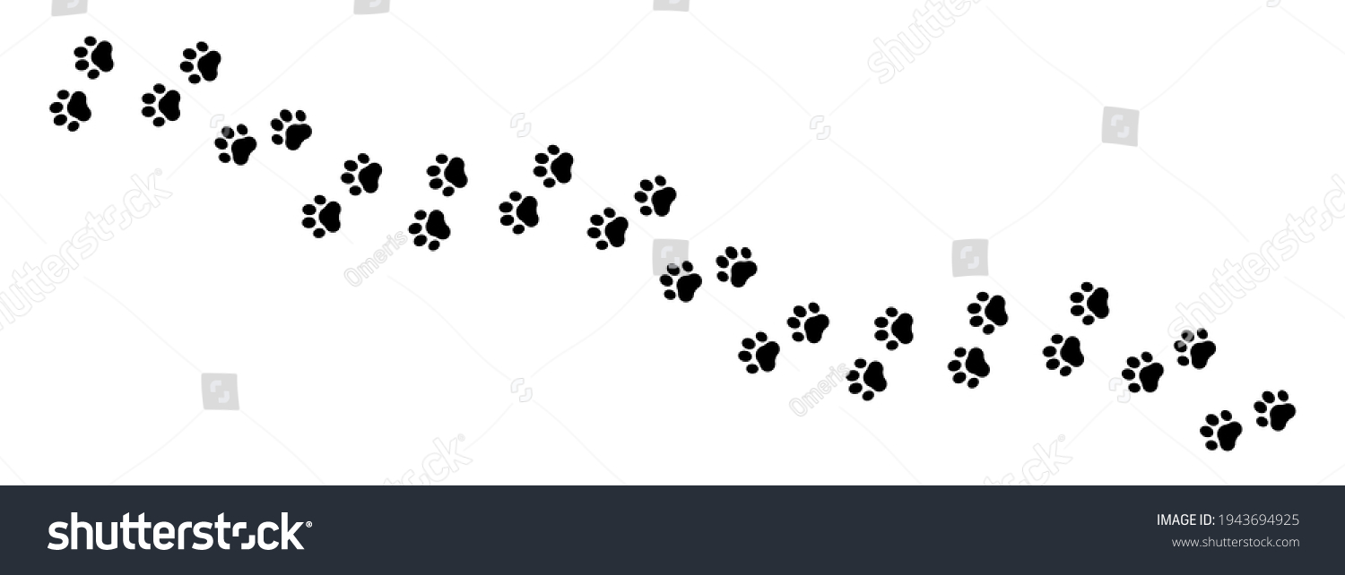 Pet Prints Paw Pattern Footprints Pets Stock Illustration 1943694925 ...