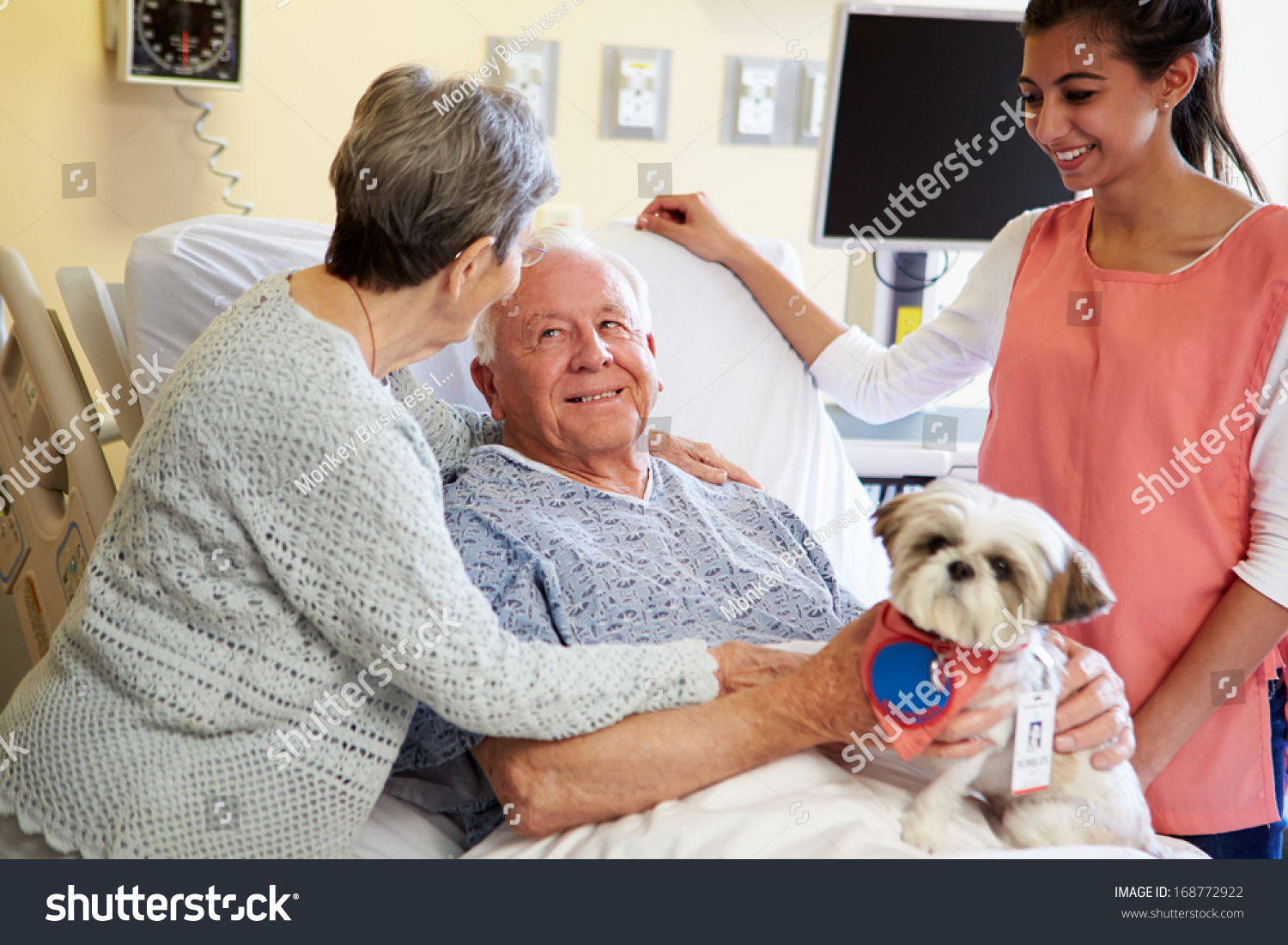 4,570 Pet Therapy In Hospital Images, Stock Photos & Vectors | Shutterstock