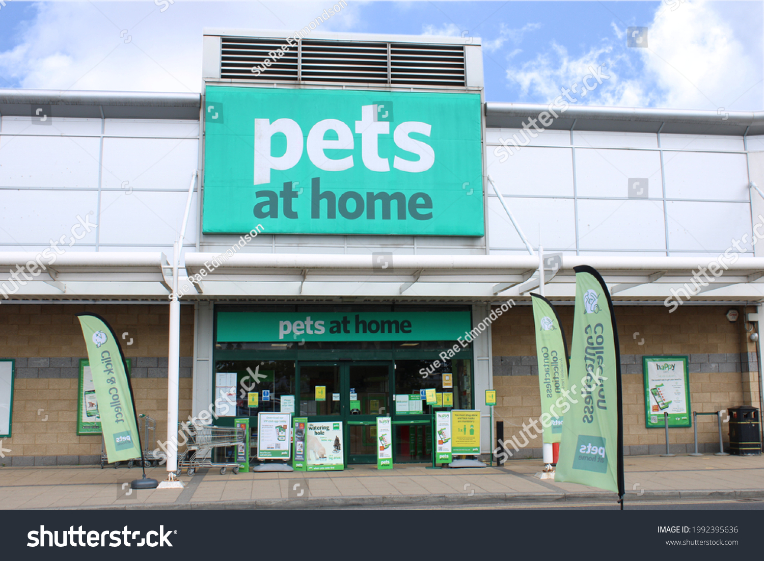 9,004 Pets at home store Images, Stock Photos & Vectors | Shutterstock