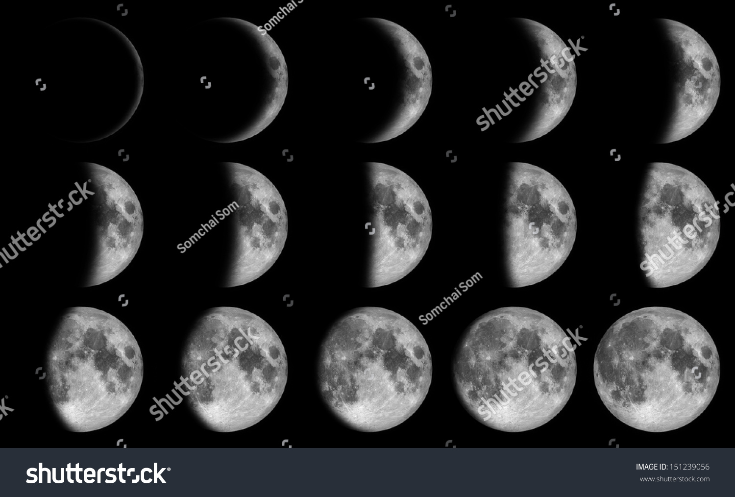 15 moon phases