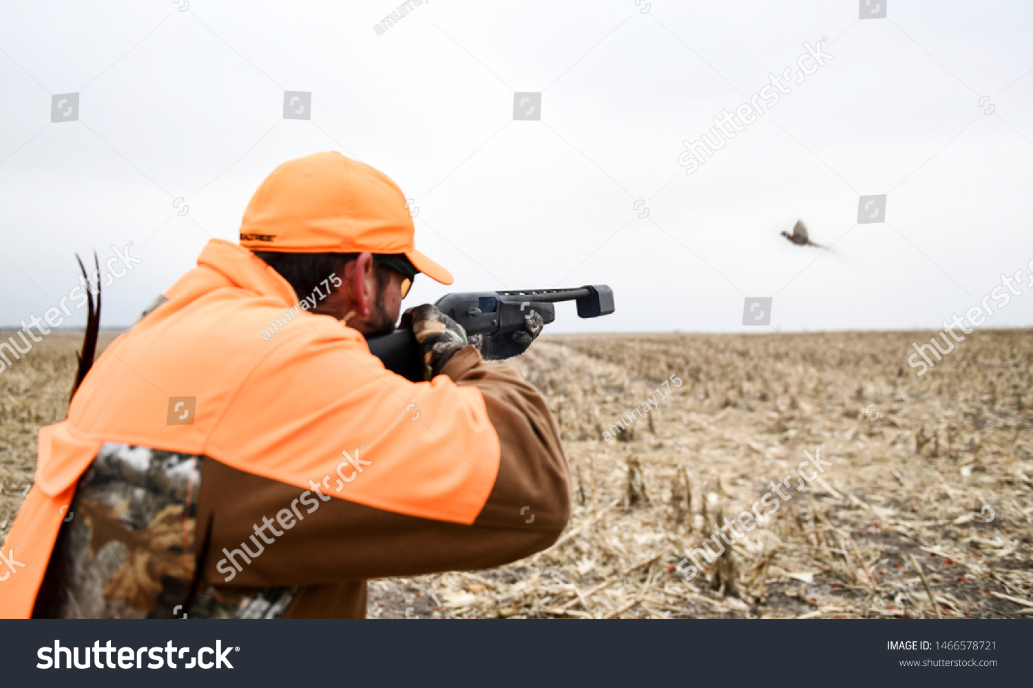 29 049 Shooting Birds Images Stock Photos Vectors Shutterstock   Stock Photo Photo Of A Bird Hunter Aiming At A Bird About To Fire 1466578721 