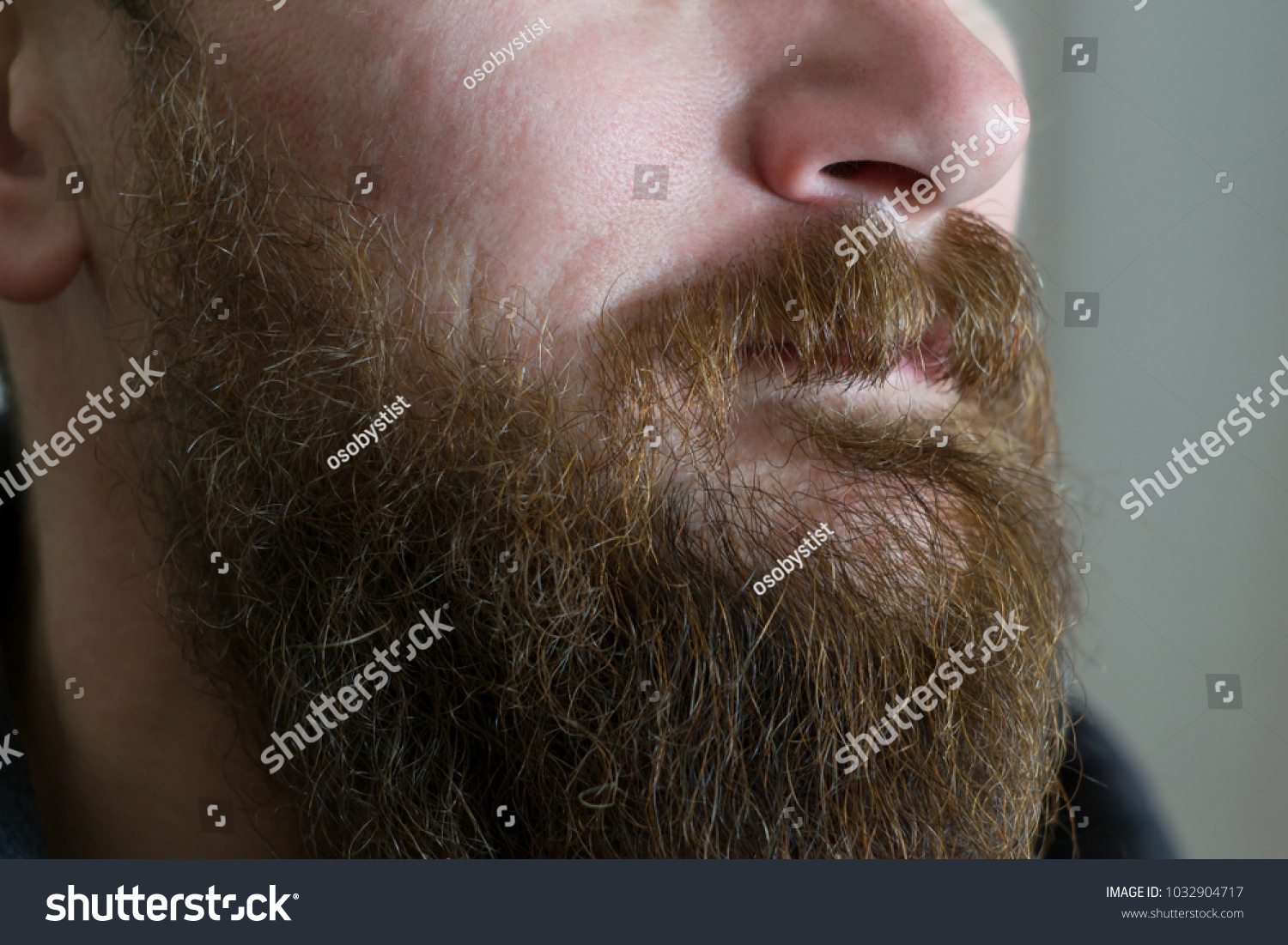 Photo Thick Beard Adult White Male Stock Photo Edit Now 1032904717