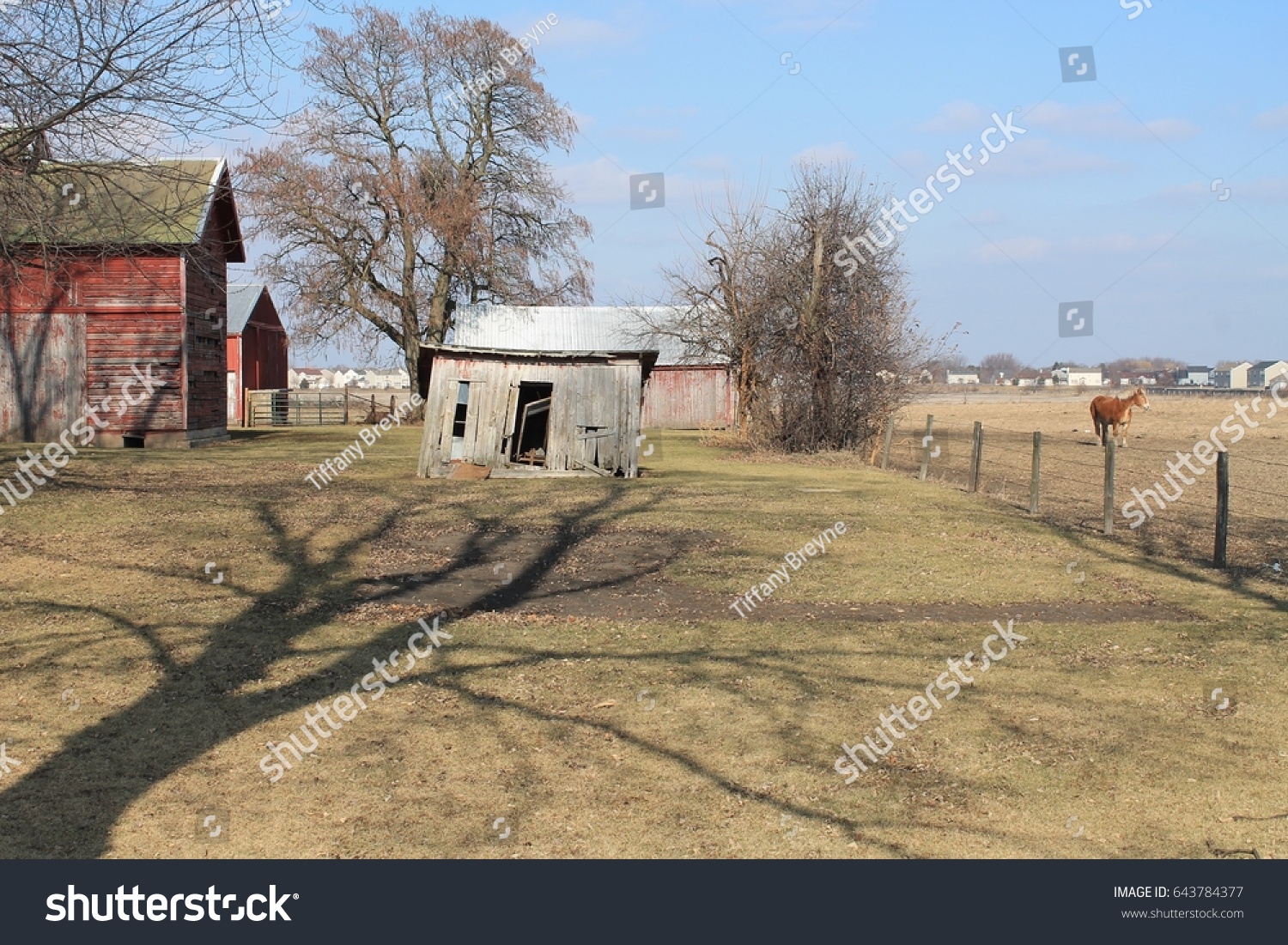 Photo Old Slanted White Shack Front Stock Photo Edit Now 643784377