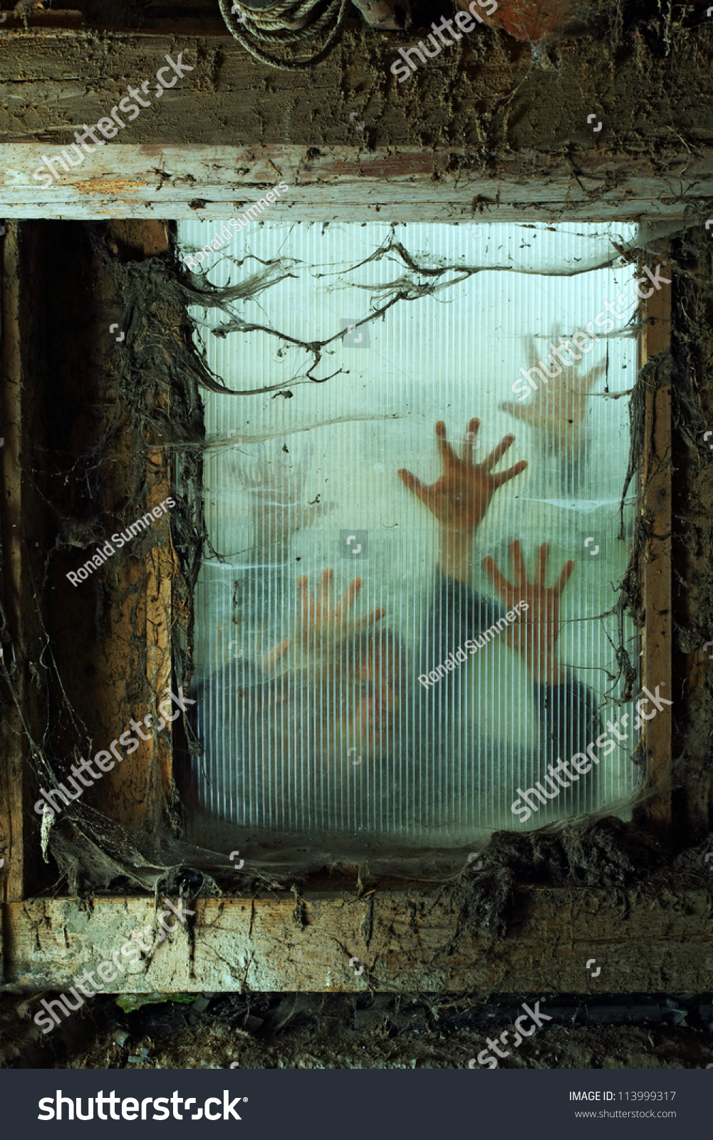 zombie window