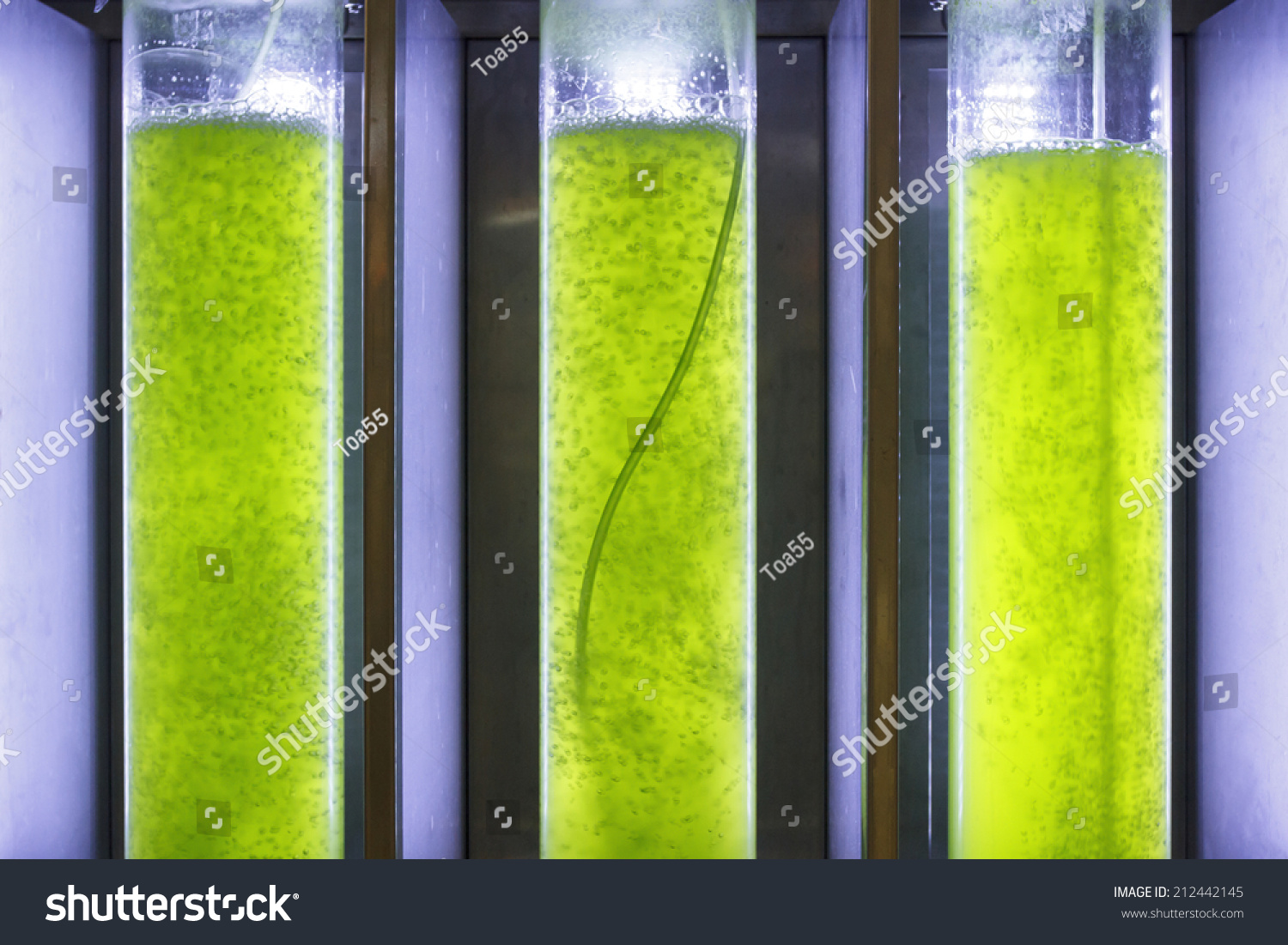 Photobioreactor Algae Fuel Biofuel Industry Stock Photo 212442145 ...