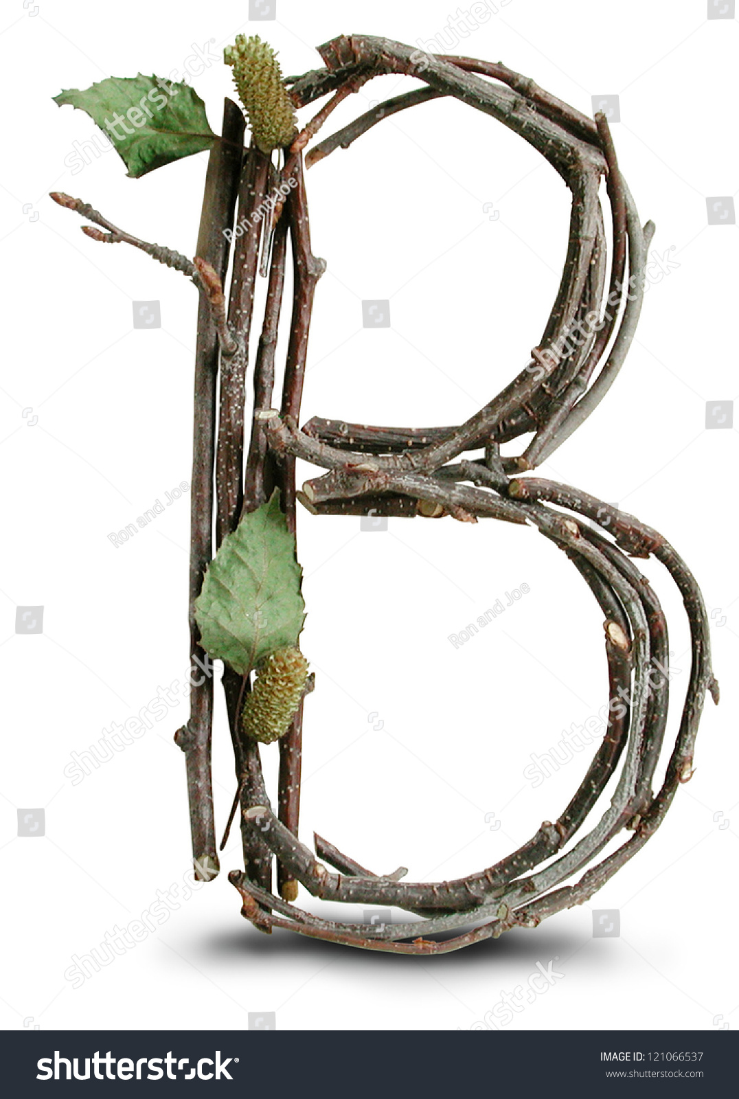 2,607 Letter B Nature Stock Photos, Images & Photography | Shutterstock