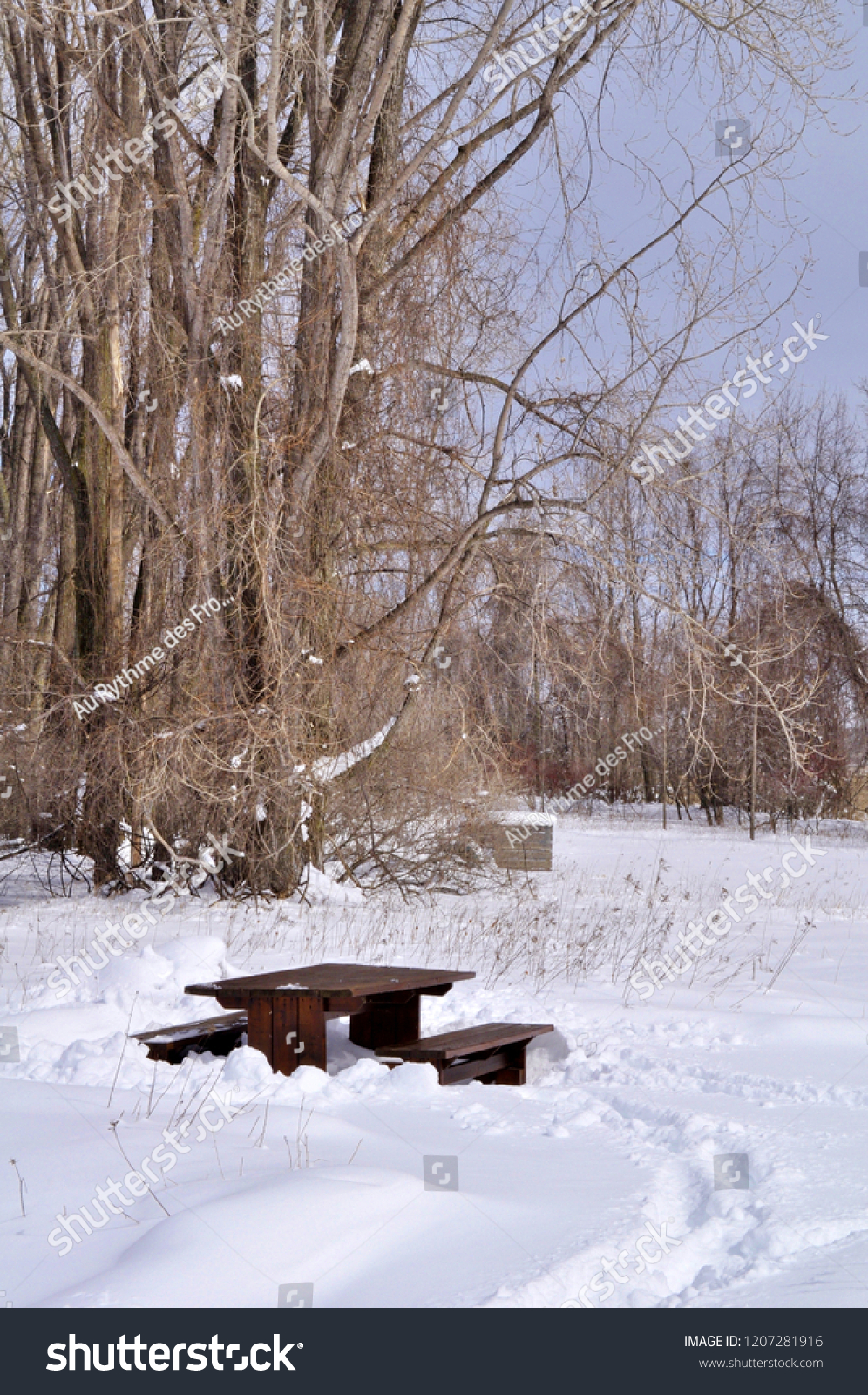 Picnic Winter Woods Ile Stbernard Chateauguay Stock Photo Edit Now