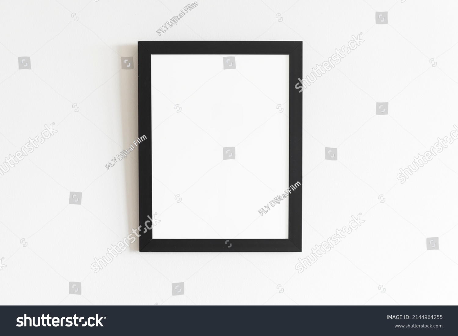 Picture Document Frame Examples Stock Photo 2144964255 | Shutterstock