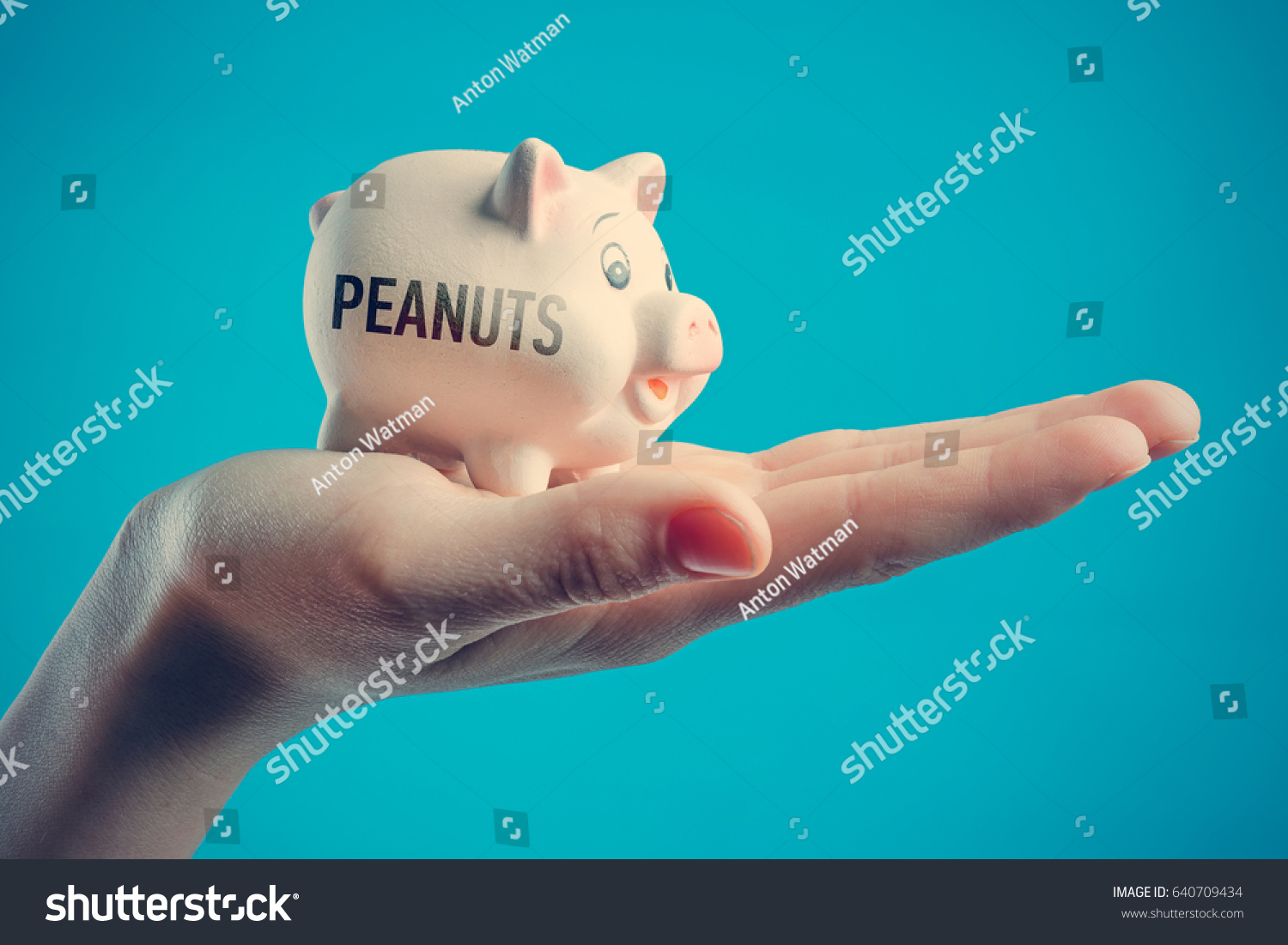 Help me come up with an inscription for a piggy bank Help me come up with an inscription for a piggy bank