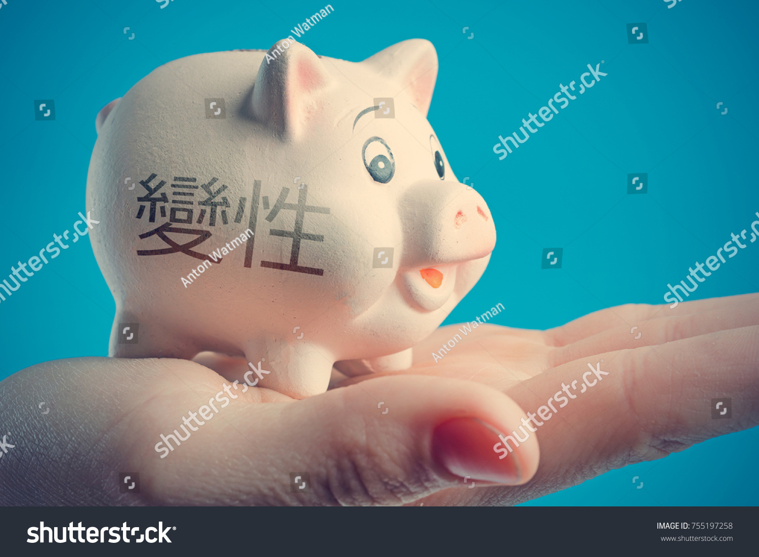 Help me come up with an inscription for a piggy bank Help me come up with an inscription for a piggy bank
