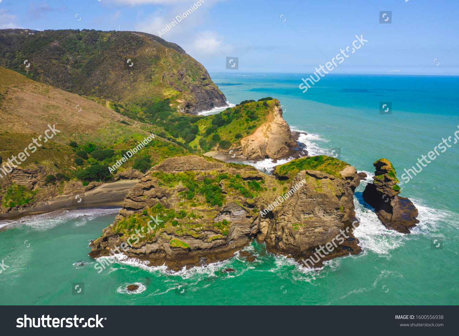 Piha Beach New Zealand Stock Photo Edit Now 1600556938