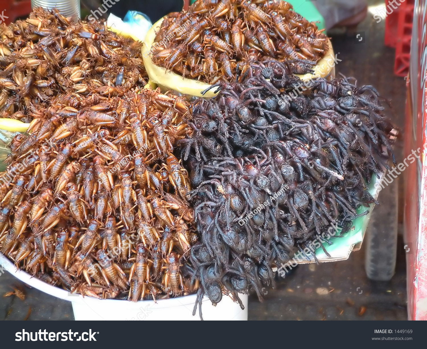 pile crickets spiders sale cambodian market stock photo edit now