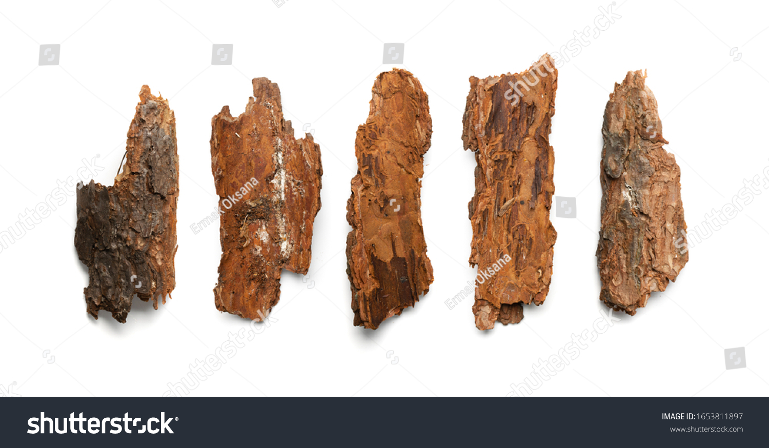 Pine Cedar Oak Tree Bark Pieces Stock Photo (Edit Now) 1653811897