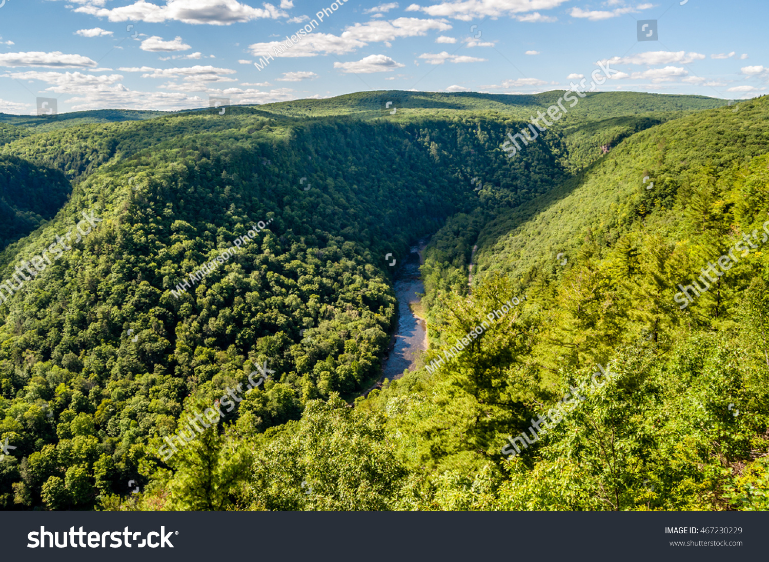 24 997 Pine Creek Images Stock Photos Vectors Shutterstock   Stock Photo Pine Creek Flows Through The Gorge Making Up The Grand Canyon Of Pennsylvania 467230229 