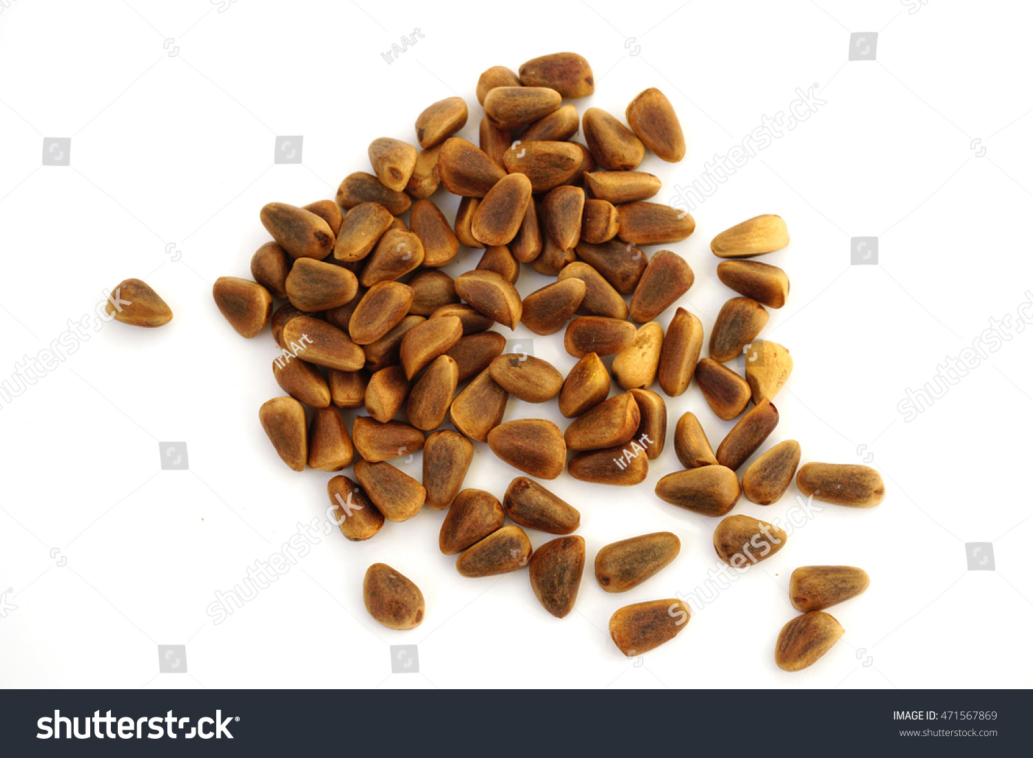 Pine Nuts Shell On White Background Stock Photo 471567869 | Shutterstock