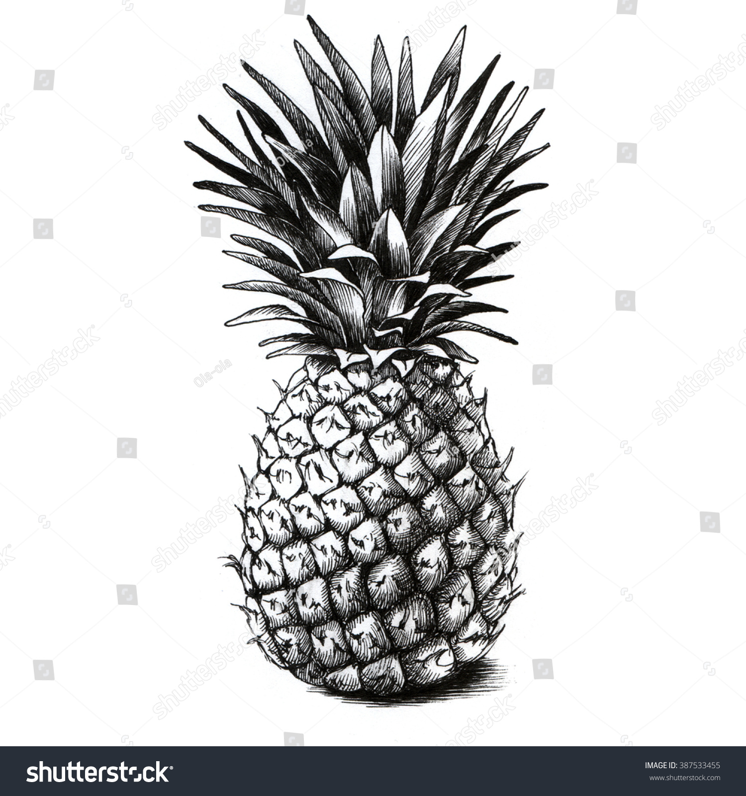 pineapple drawing stock illustration 387533455 shutterstock