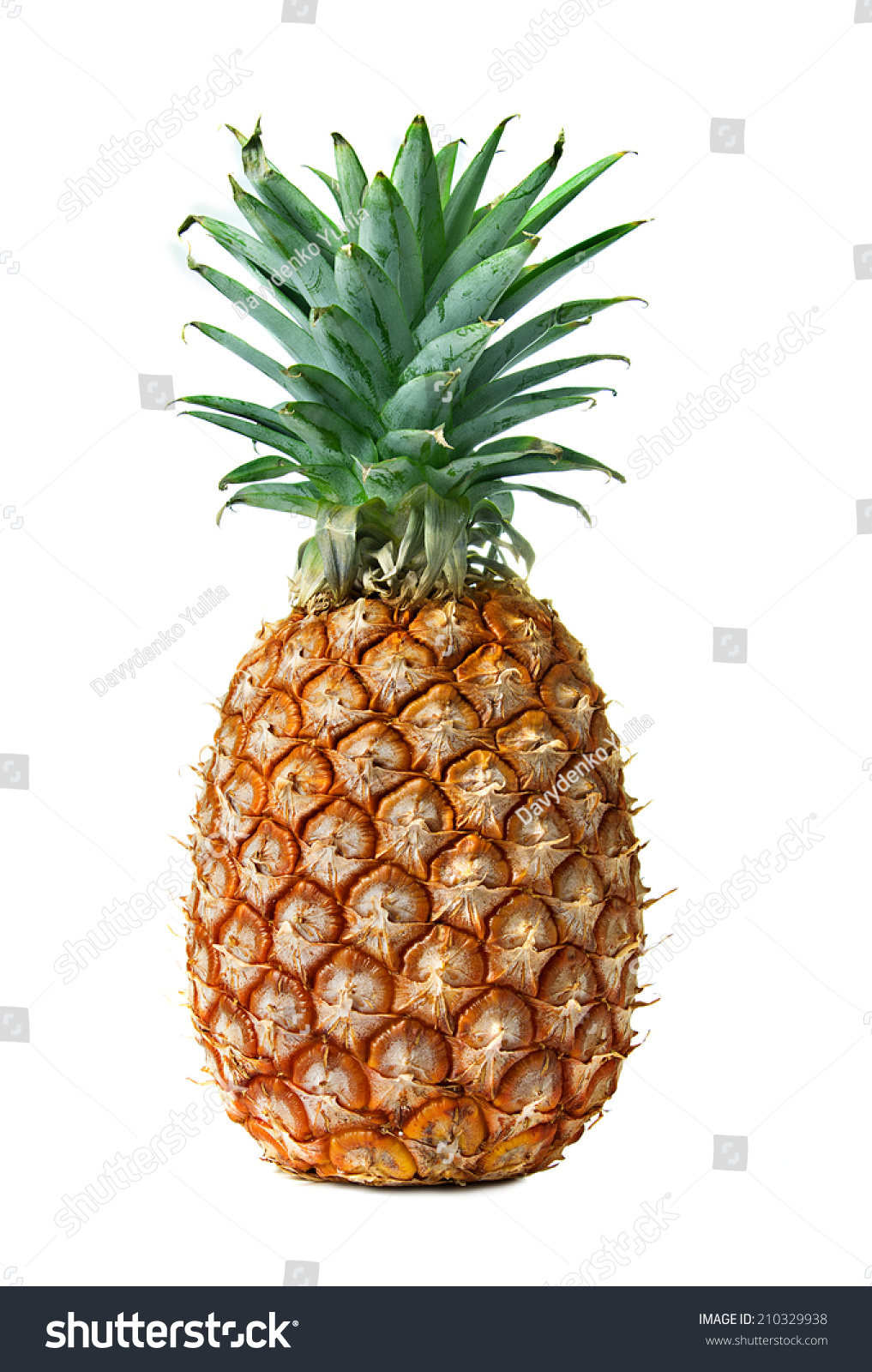 Pineapple Isolated On White Background Stock Photo (Edit Now) 210329938 ...