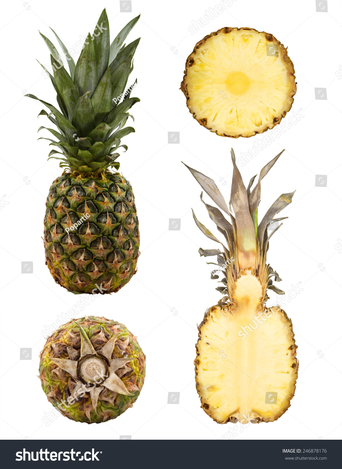 Pineapple Whole Cross Section Views Stock Photo 246878176 Shutterstock