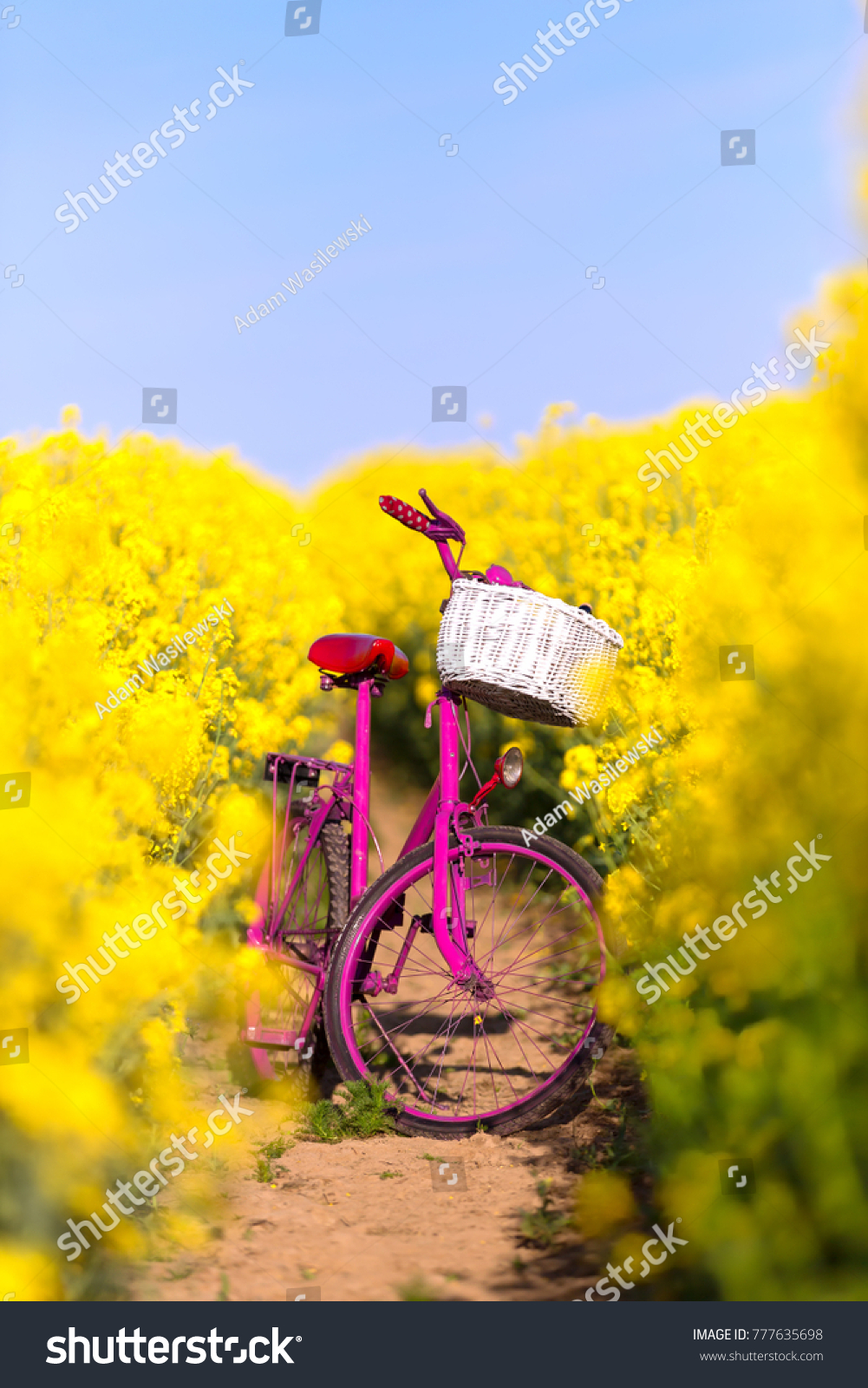 yellow and pink bike