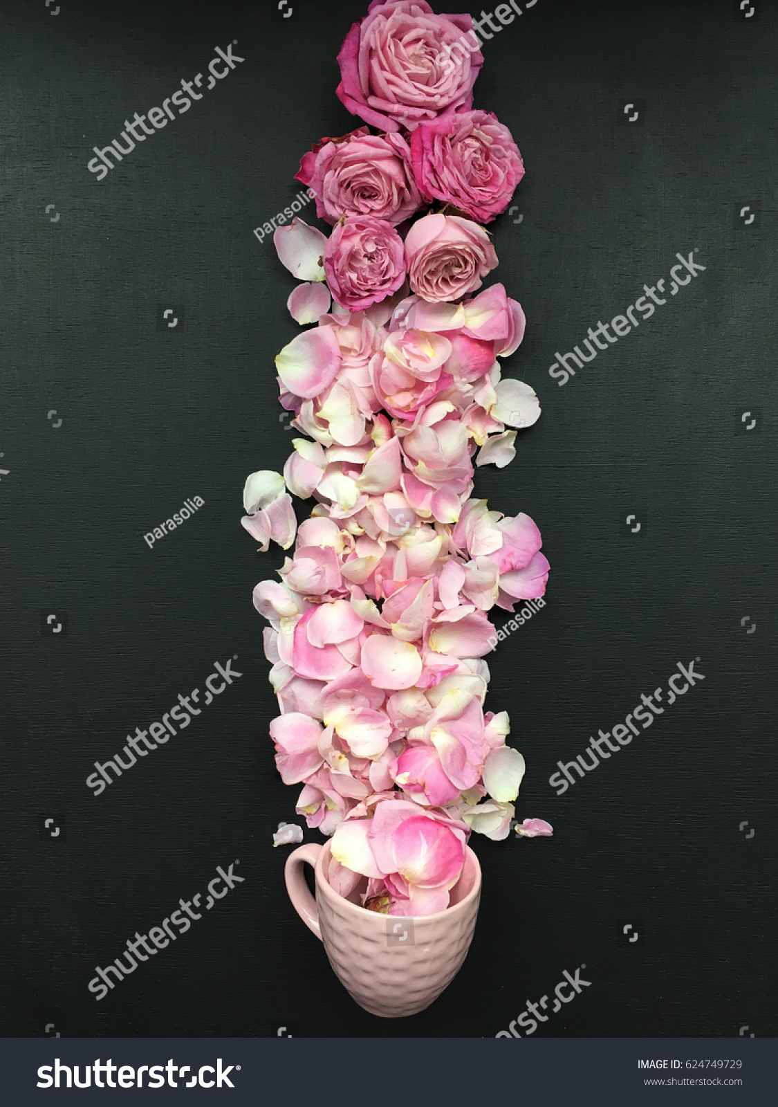 Pink Cup Shabby Pink Roses Petals Stock Photo Edit Now 624749729