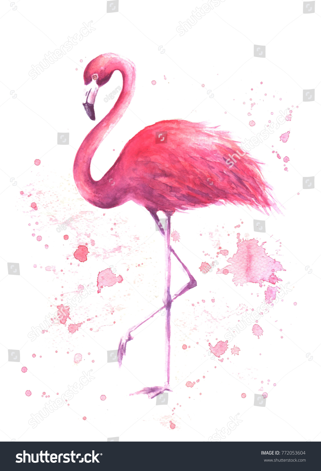 ピンクのフラミンゴ。白い背景に熱帯のエキゾチックな鳥のフラミンゴと 