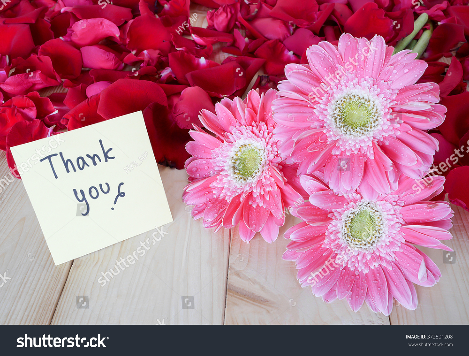 Pink Flower Red Rose Word Thank Stock Photo 372501208 - Shutterstock