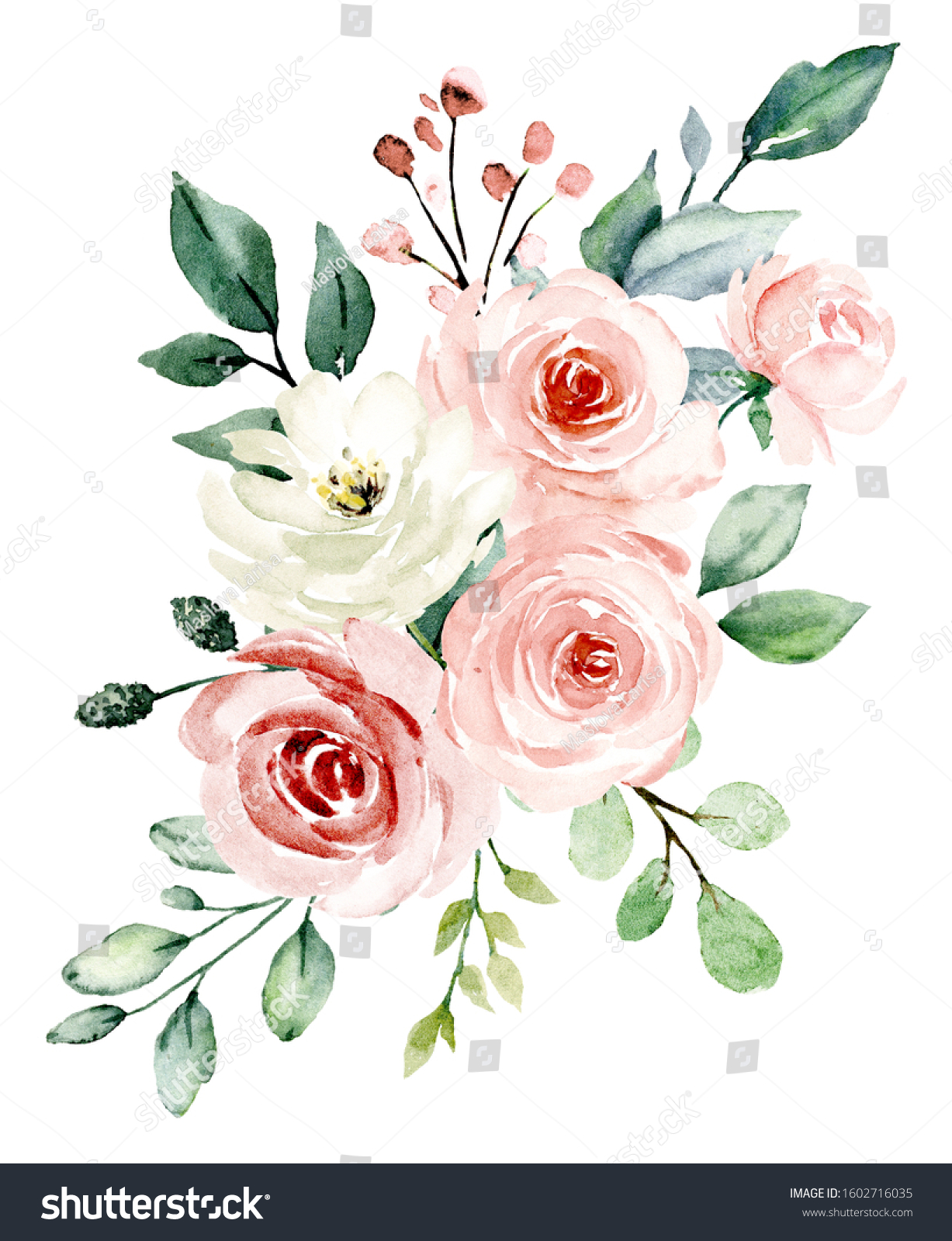 Pink Flowers Watercolor Floral Clip Art Stock Illustration