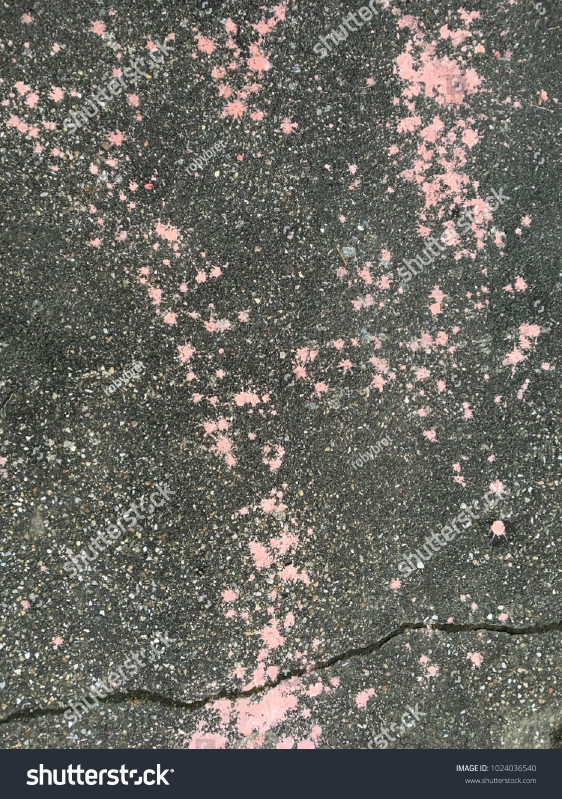 Pink Paint Drops On Black Asphalt Stock Image Download Now
