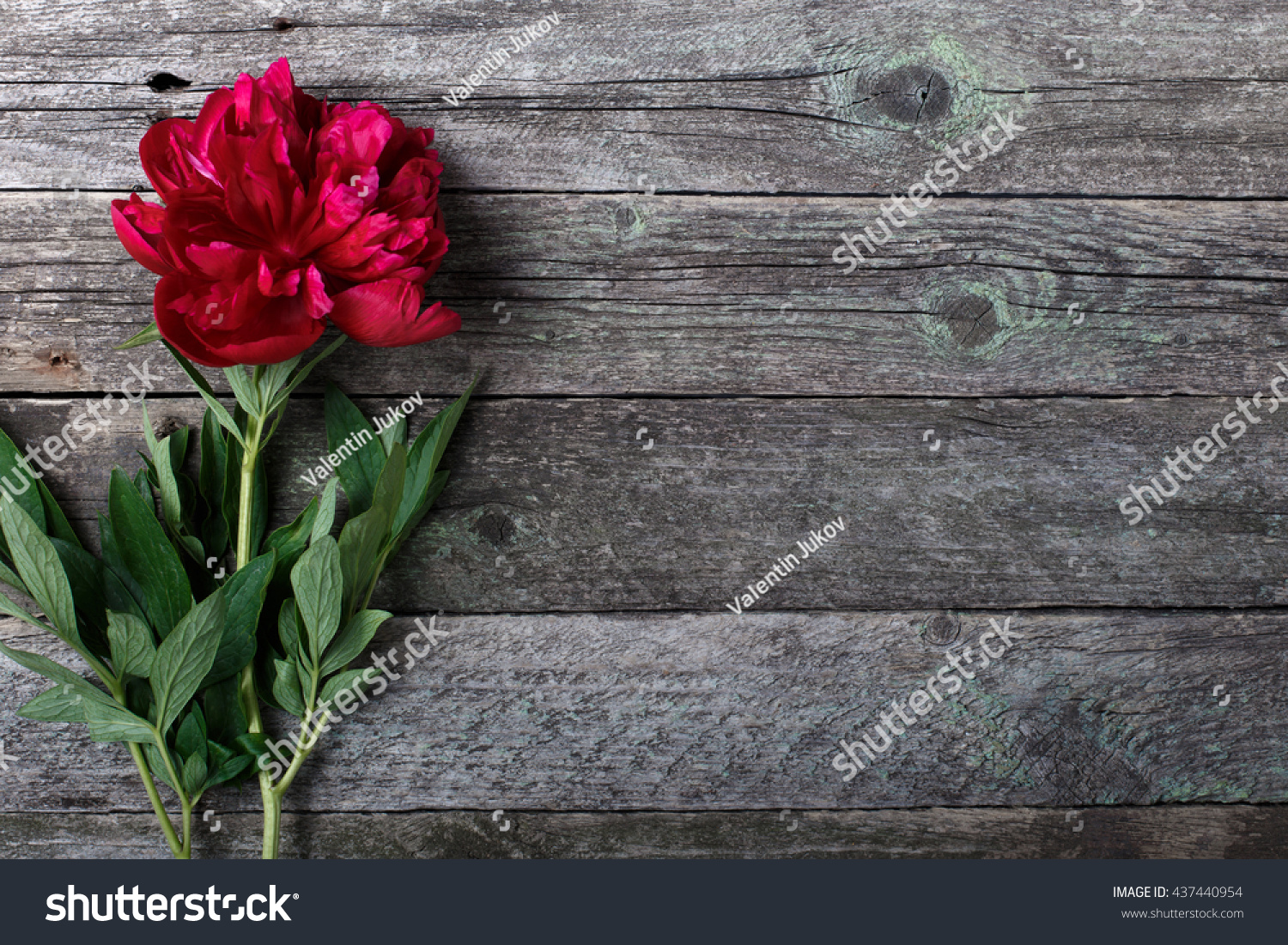 rustic wallpaper valentine Peonies Rustic Pink Stock Photo On Flowers Wooden